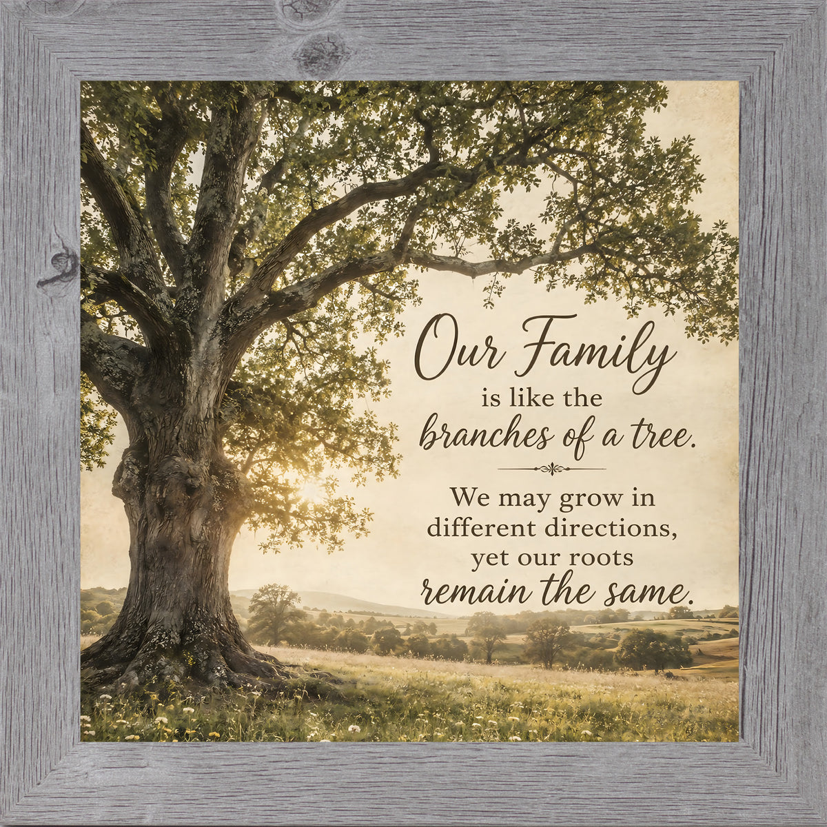 Gray framed square family quote wall art featuring a majestic oak tree in golden light with the words "Our Family Is Like The Branches Of A Tree"