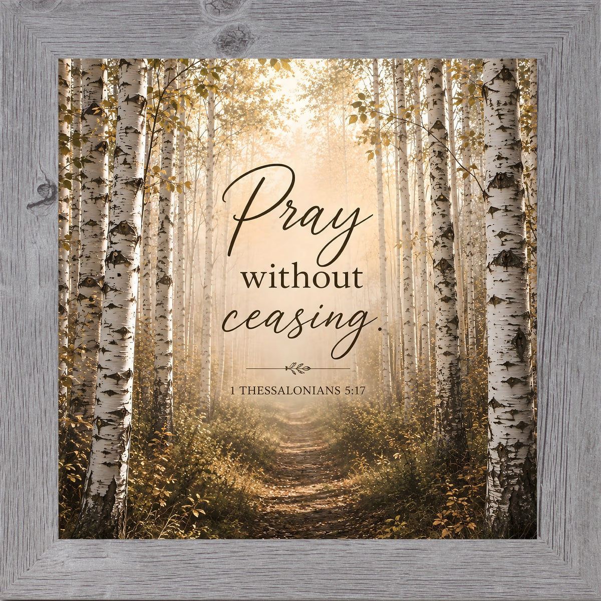 Gray framed square Christian wall art featuring a sunlit birch forest path with the words "Pray Without Ceasing" 1 Thessalonians 5:17