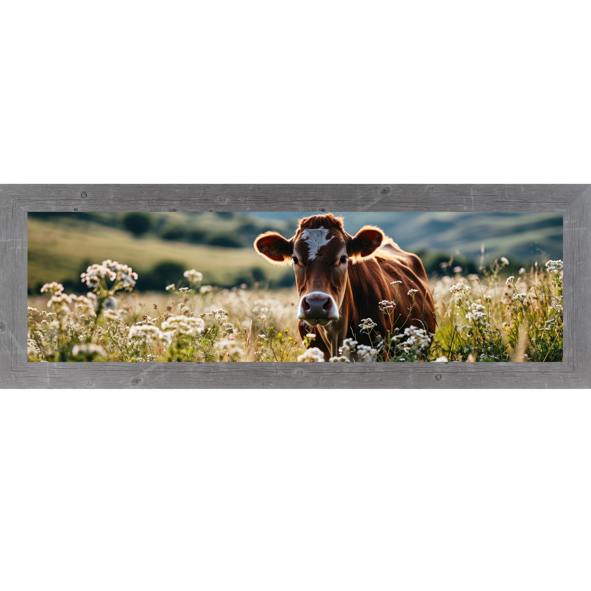 Gray framed wide panoramic farmhouse wall art featuring a Jersey cow surrounded by white wildflowers in a sunny meadow with rolling green hills in the background