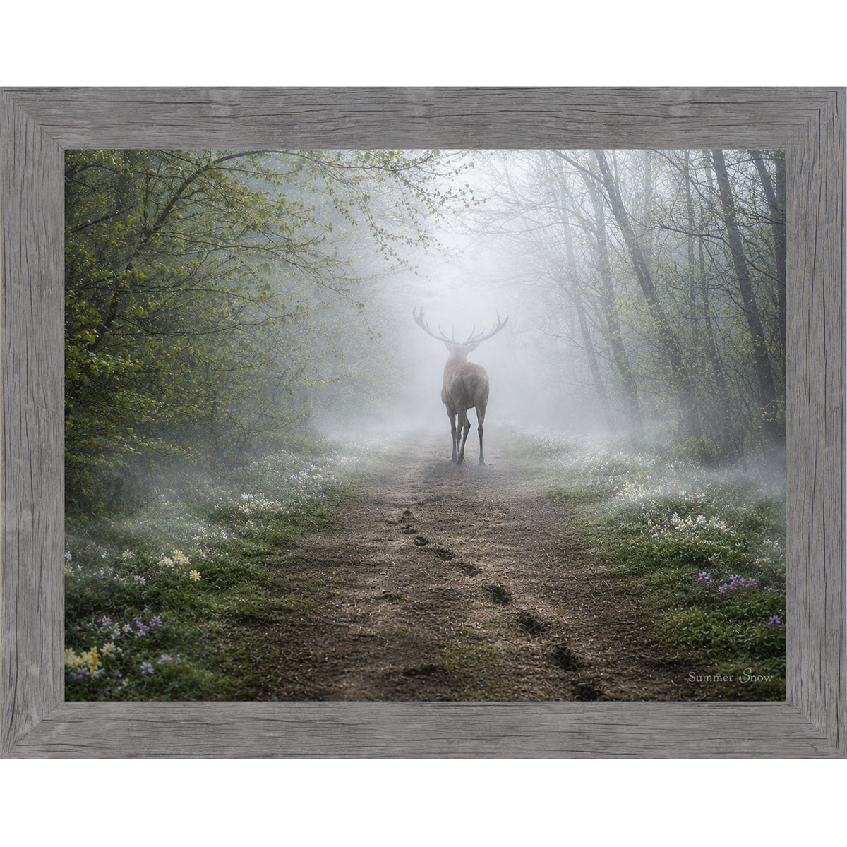 Gray framed horizontal nature wall art featuring a deer silhouette dissolving into heavy morning mist on a spring forest path with wildflowers and hoofprints in the soft earth