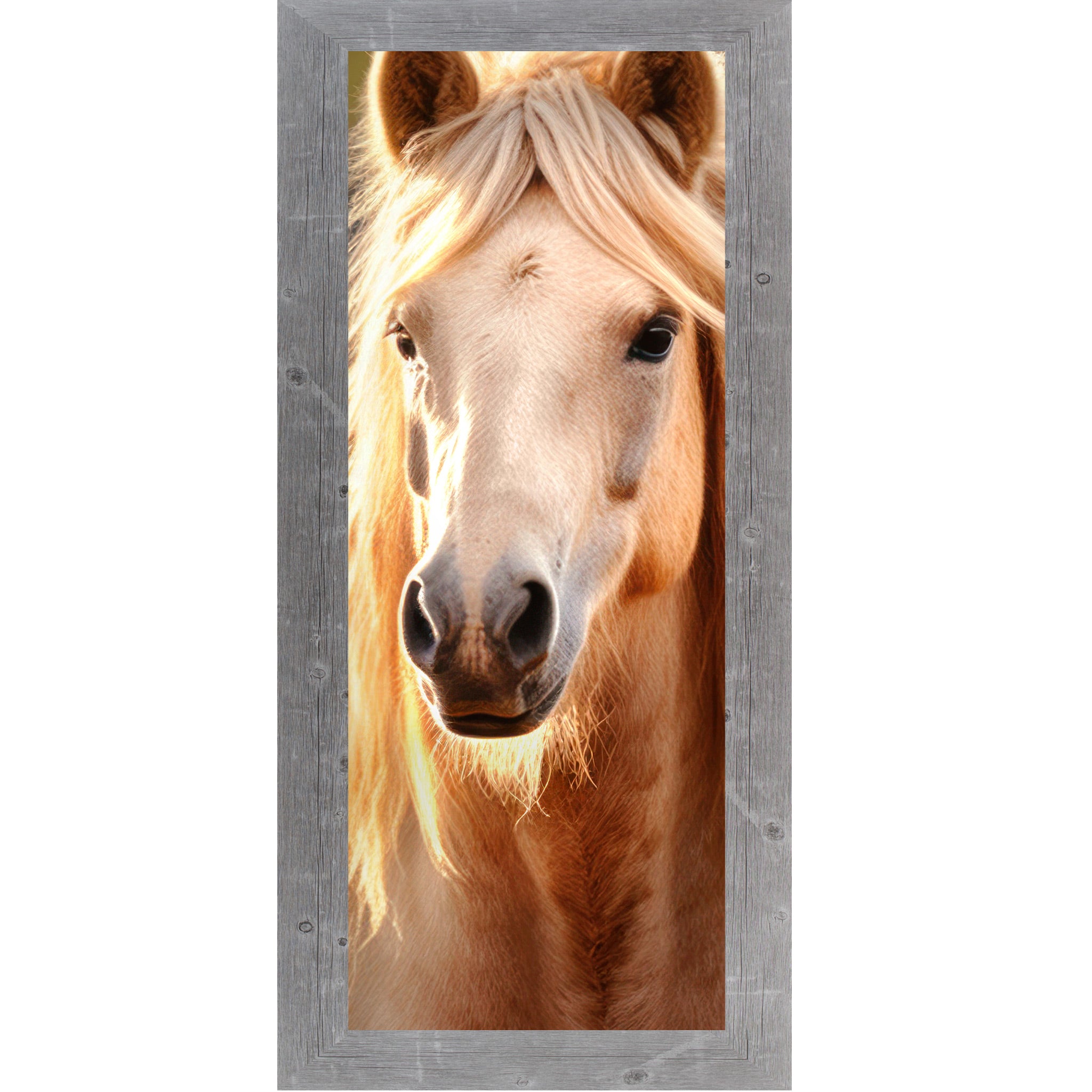 Gray framed narrow portrait palomino horse wall art featuring a golden mane palomino horse with direct eye contact, warm backlit glow, and cream mane cascading on both sides