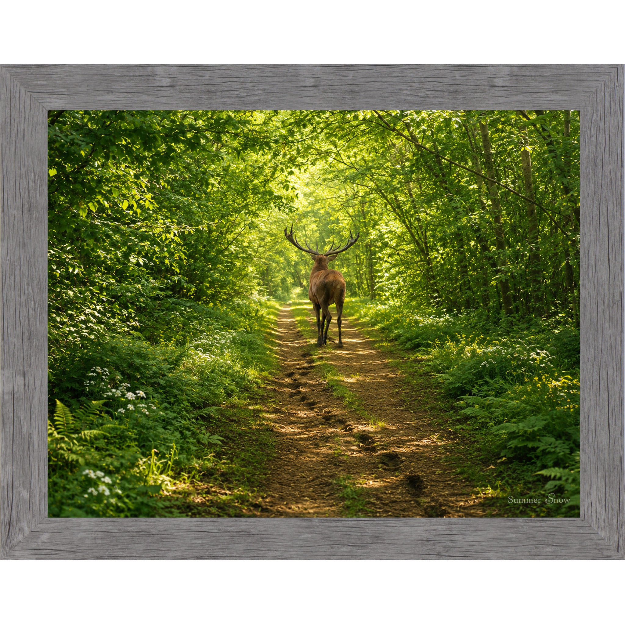 Gray framed horizontal nature wall art featuring a deer walking away down a lush summer forest path with full green cathedral canopy dappled golden light and ferns