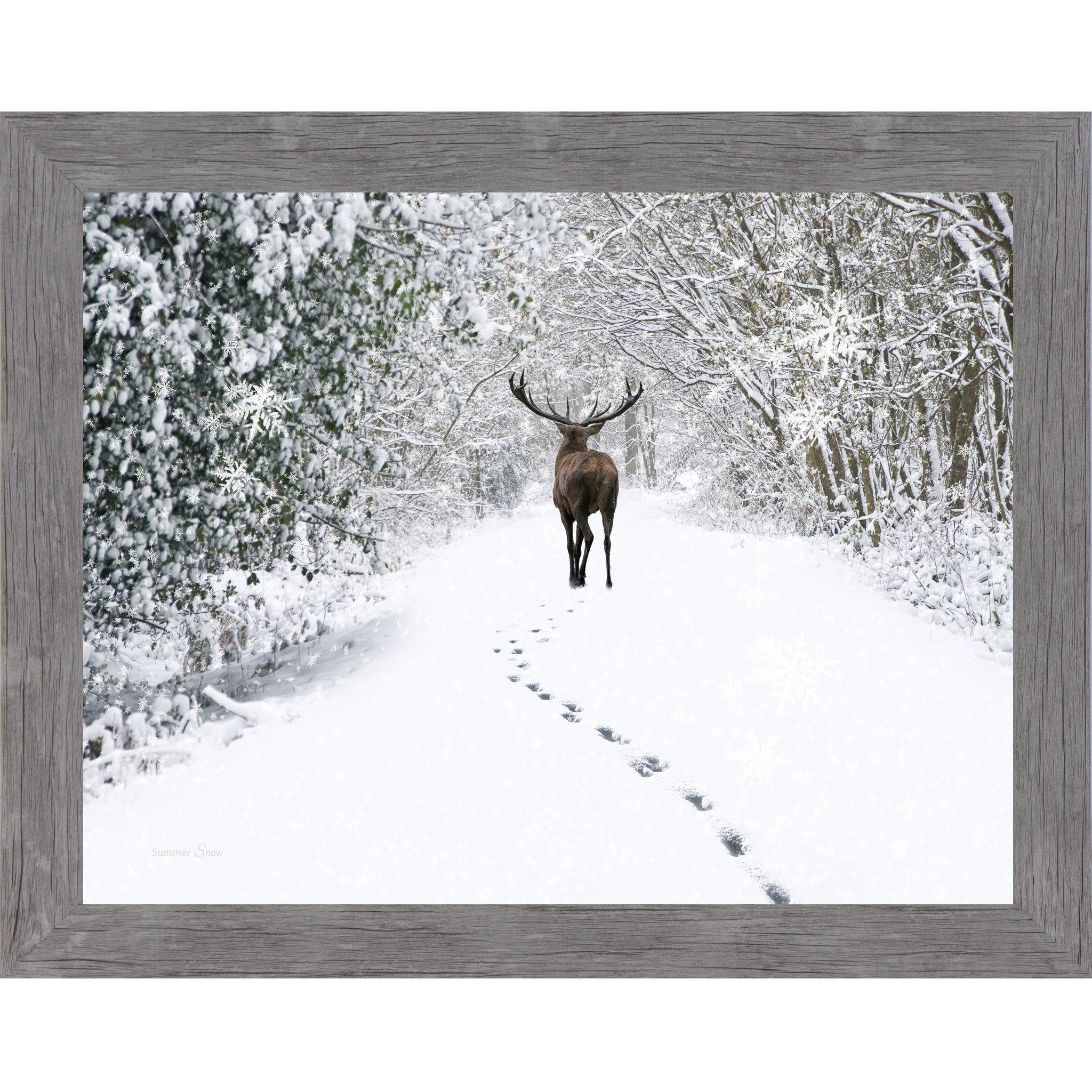 Gray framed horizontal nature wall art featuring a deer walking away down a snow-covered winter forest path with snow-laden branches and deep hoofprints in white silence