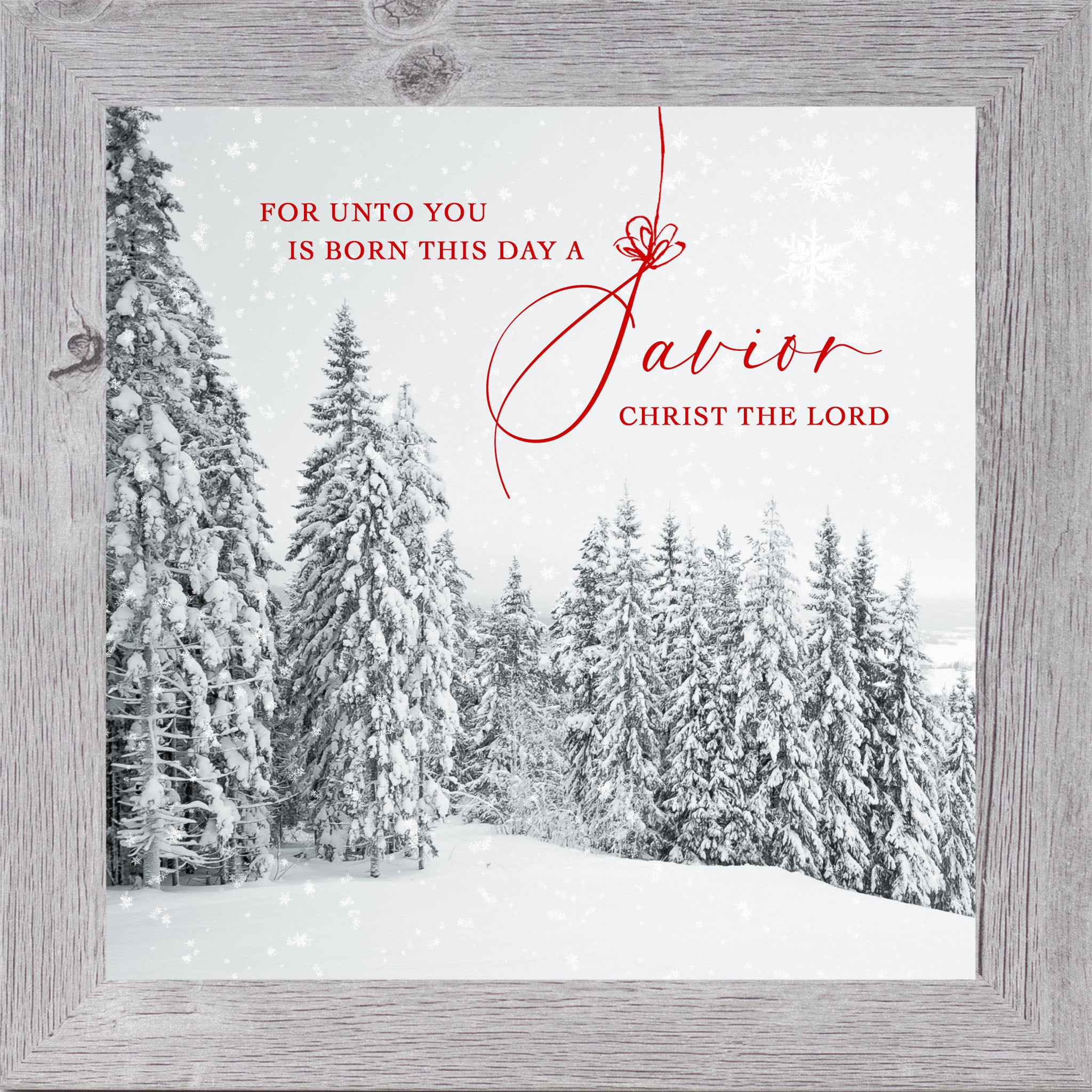 Christian Christmas wall art featuring a snowy evergreen forest during a daytime snowfall with the words “For Unto You Is Born This Day a Savior — Christ the Lord” displayed prominently in elegant typography.