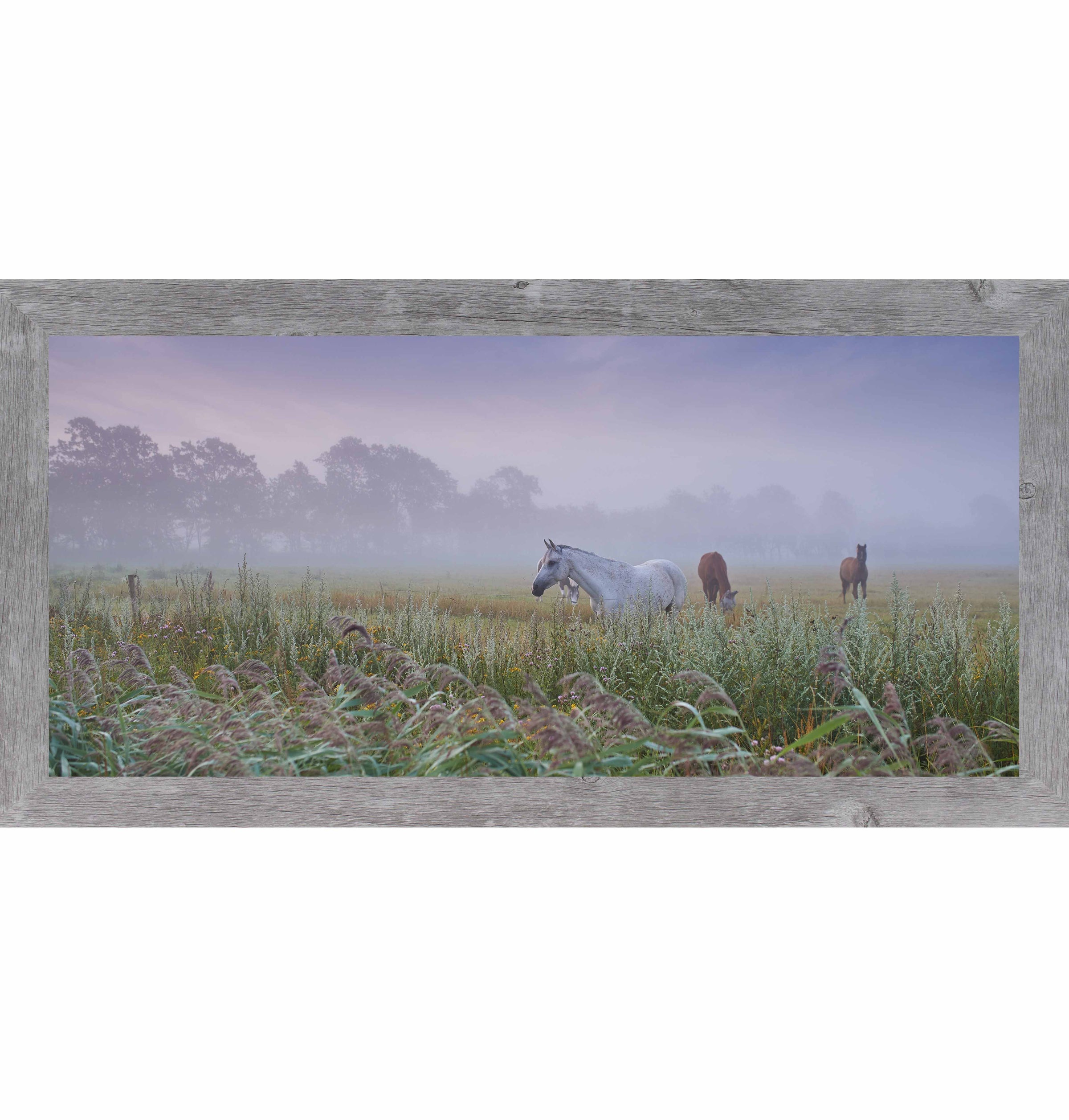 Misty Field With Horses – Panoramic Meadow Wall Art (SB742) - Summer Snow Art