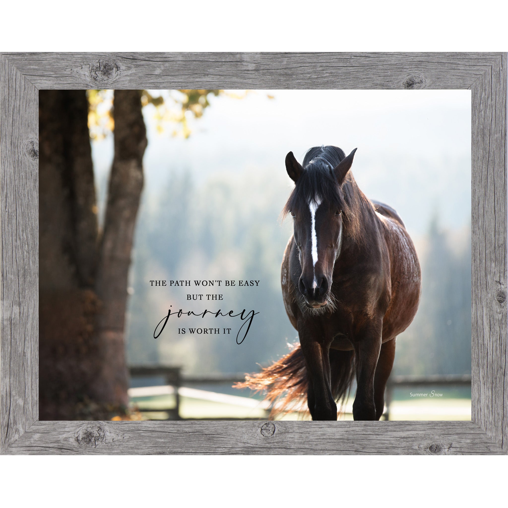 Gray framed landscape equine wall art with realistic dark bay horse in dappled sunlight with the quote "The Path Won't Be Easy But the Journey Is Worth It"