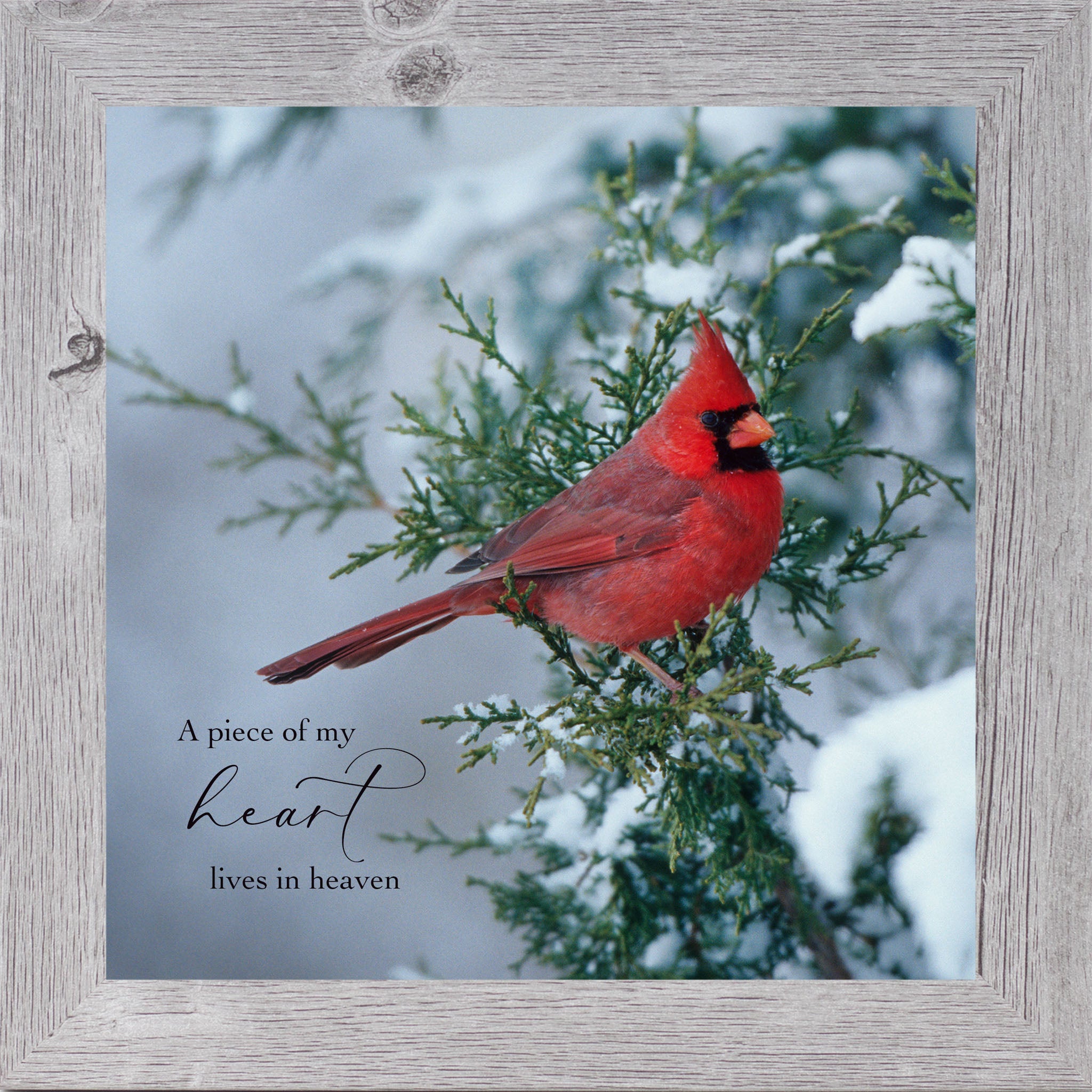 A Piece of My Heart Lives in Heaven – Cardinal Sympathy Framed Wall Art | Winter Remembrance Decor (SA127)
