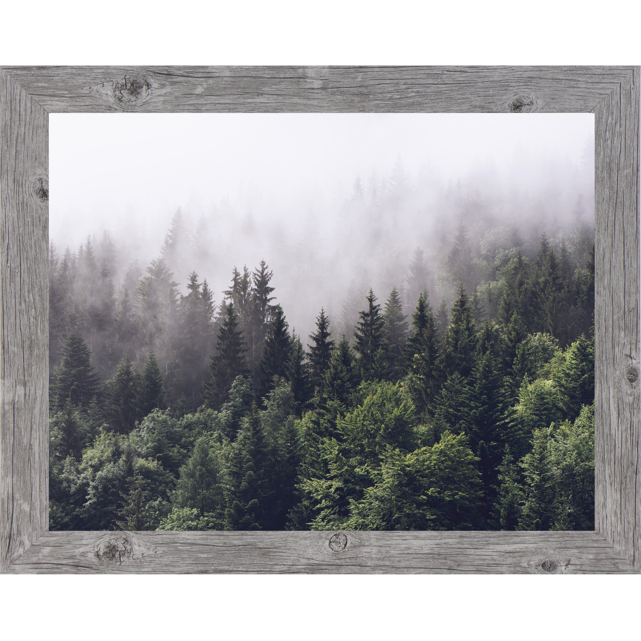 Gray framed horizontal nature wall art featuring a dense evergreen pine forest disappearing into rolling mountain fog with deep green canopies fading to pale misty silhouettes
