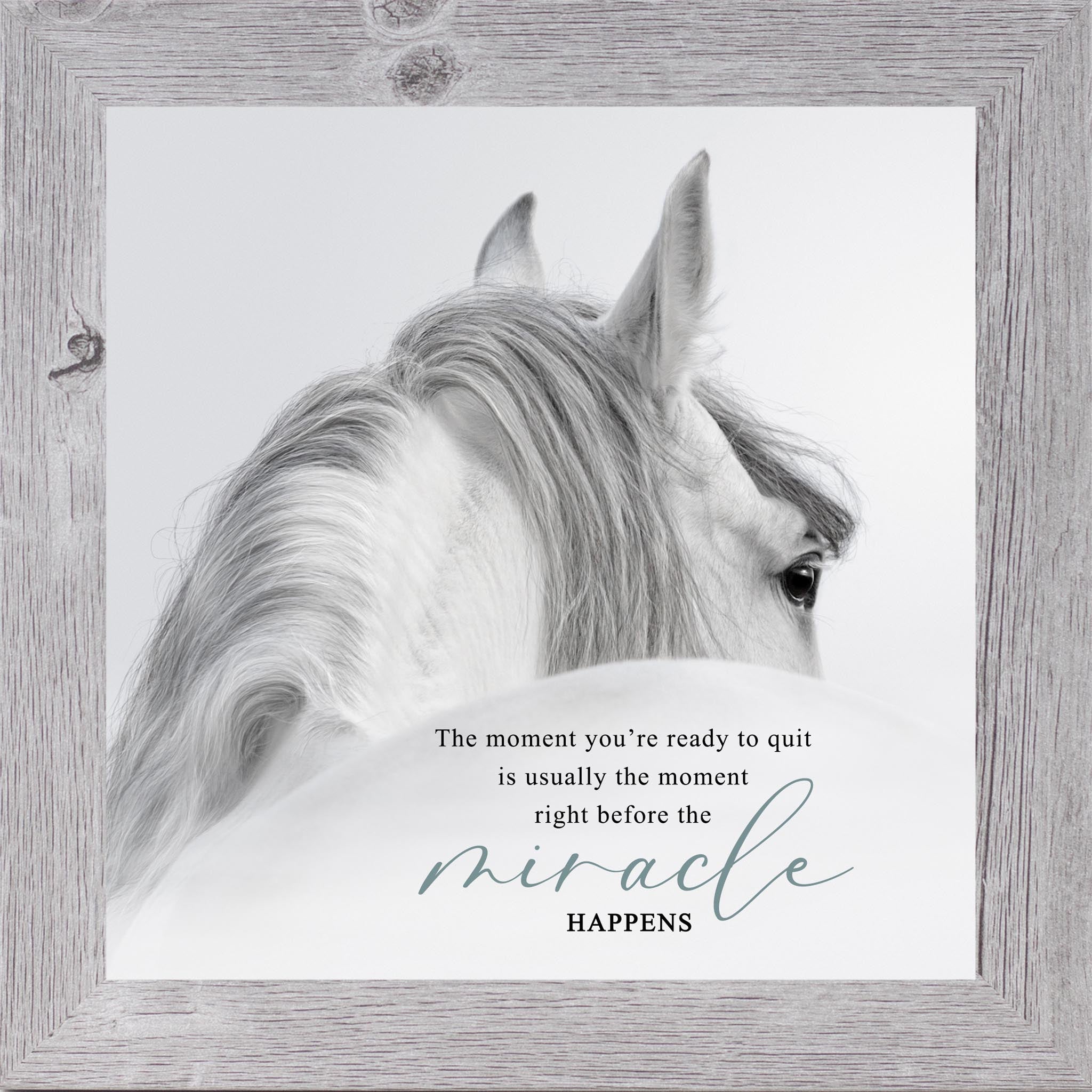 Gray framed square white horse inspirational wall art with the quote "The Moment You're Ready to Quit Is Usually the Moment Right Before the Miracle Happens"
