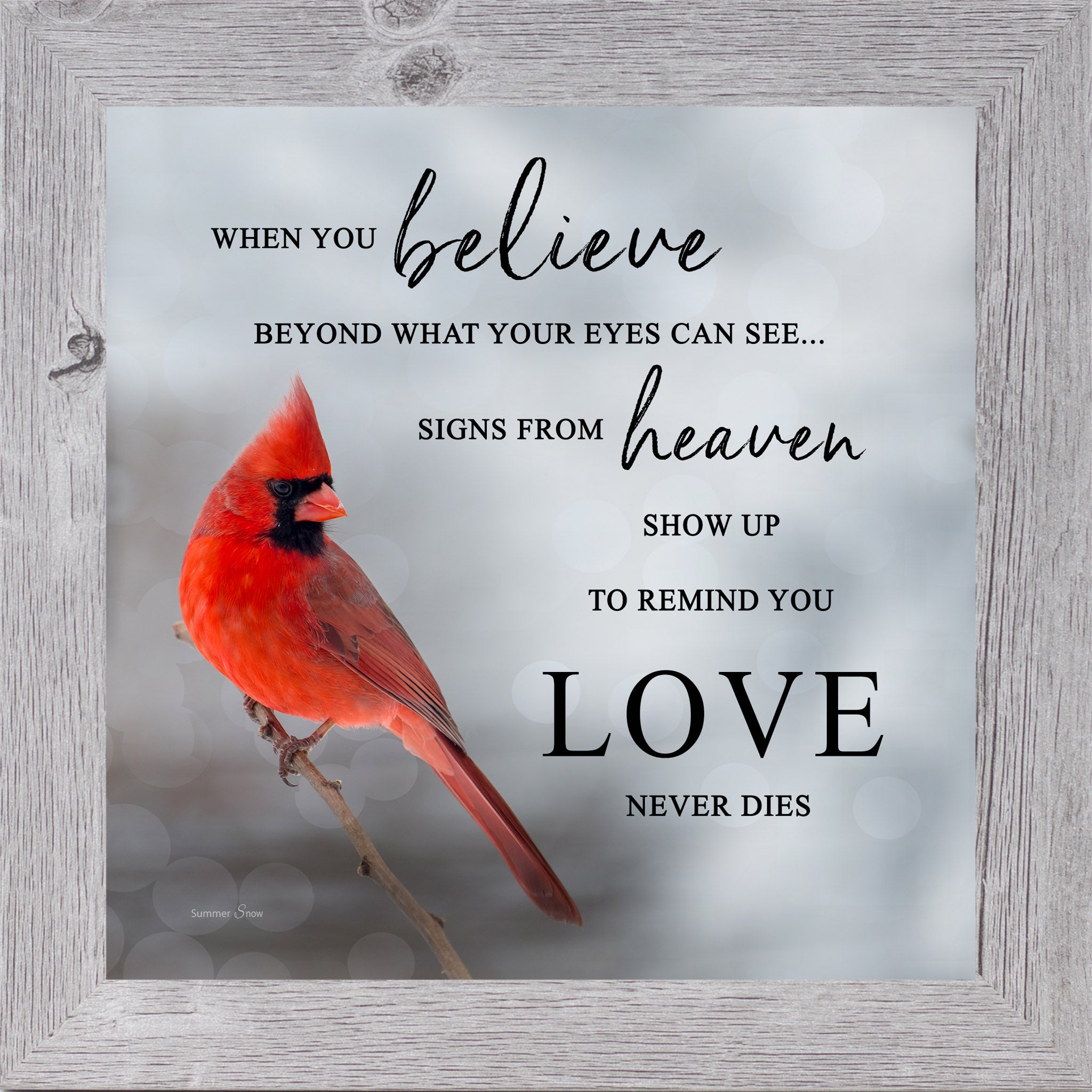 Gray framed square cardinal sympathy wall art featuring a photorealistic red cardinal in silver gray mist with the words "When You Believe Beyond What Your Eyes Can See Signs From Heaven Show Up to Remind You Love Never Dies" — SA26