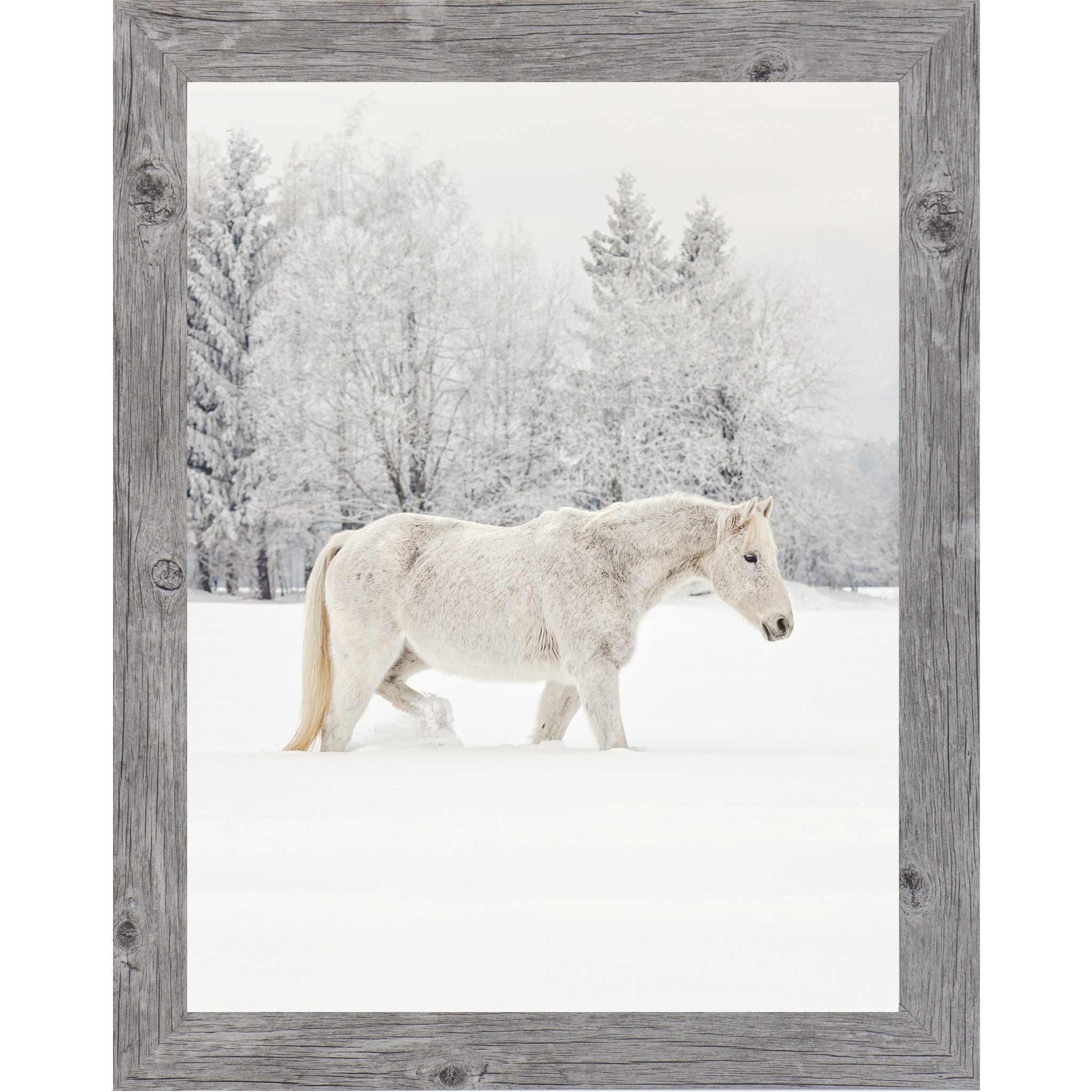 White Horse in Snow Wall Art – Winter Equine Photography | ZS100