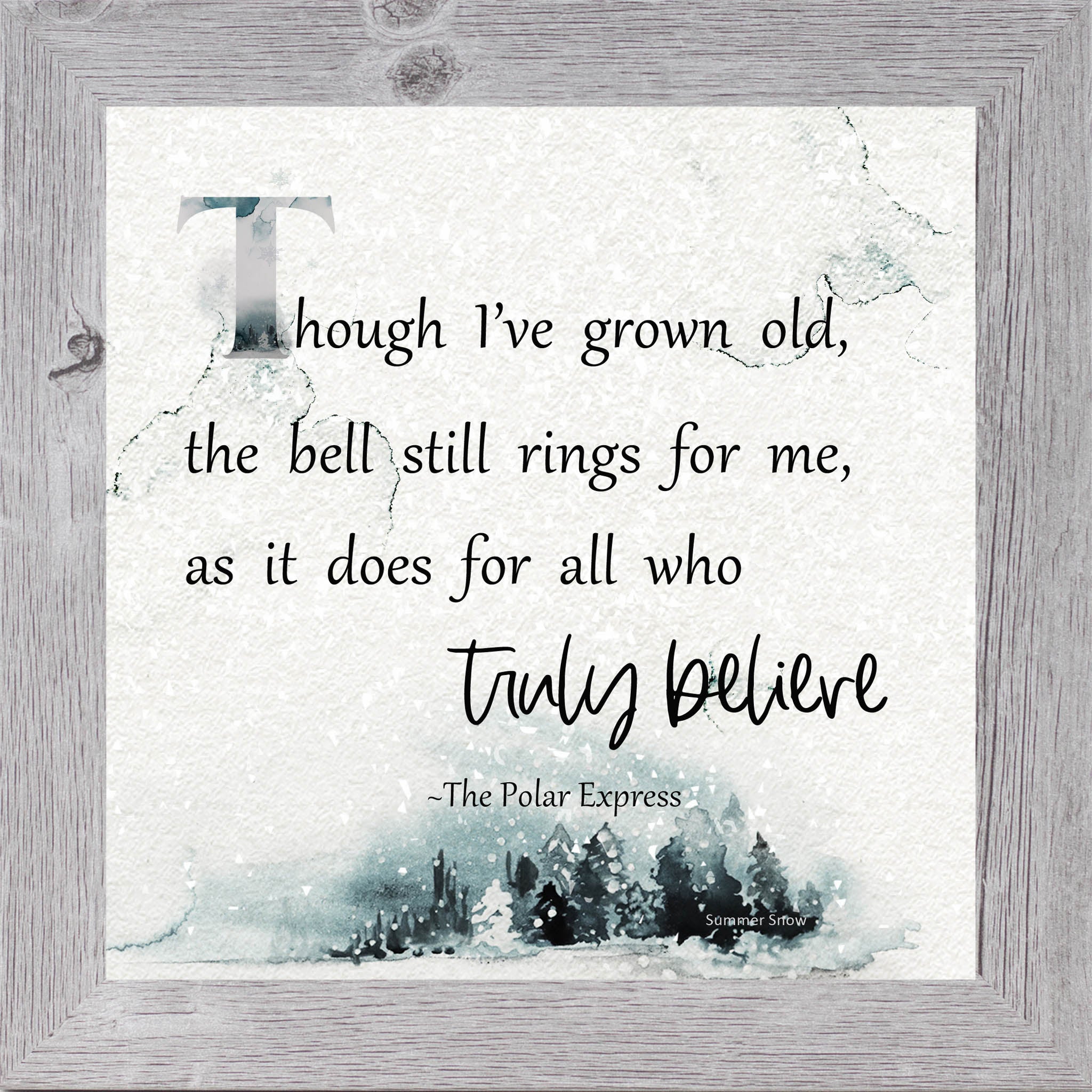 Truly Believe – Polar Express Quote Framed Wall Art | Winter Christmas Decor | SS882 - Summer Snow Art