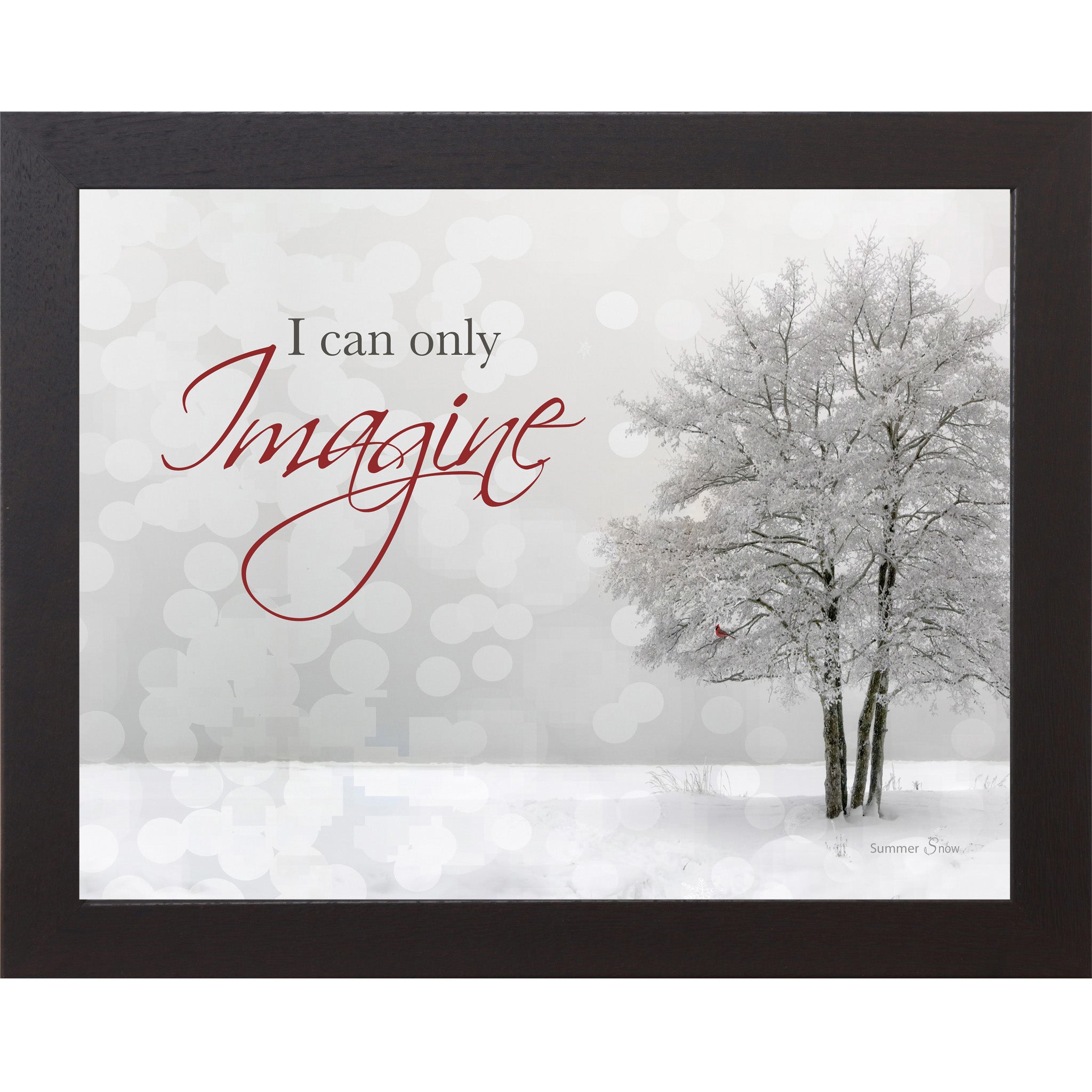 Framed winter wall art featuring a snowy field with a cardinal in a bare tree and the words I Can Only Imagine with Imagine in red text