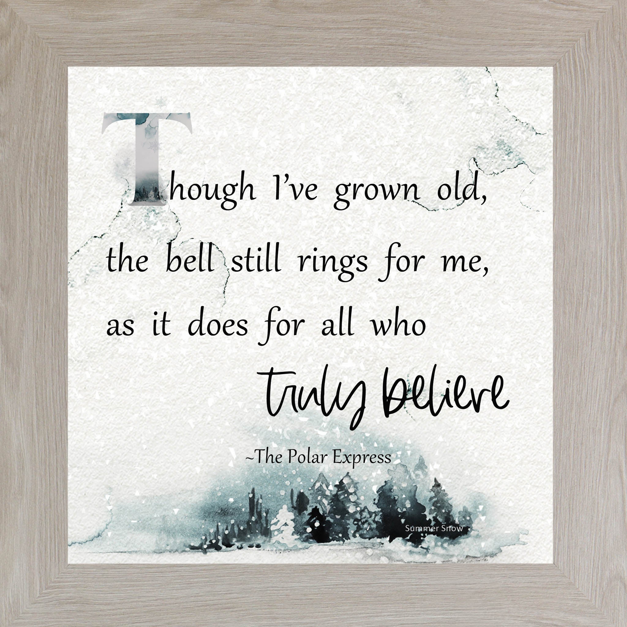 Truly Believe – Polar Express Quote Framed Wall Art | Winter Christmas Decor | SS882 - Summer Snow Art