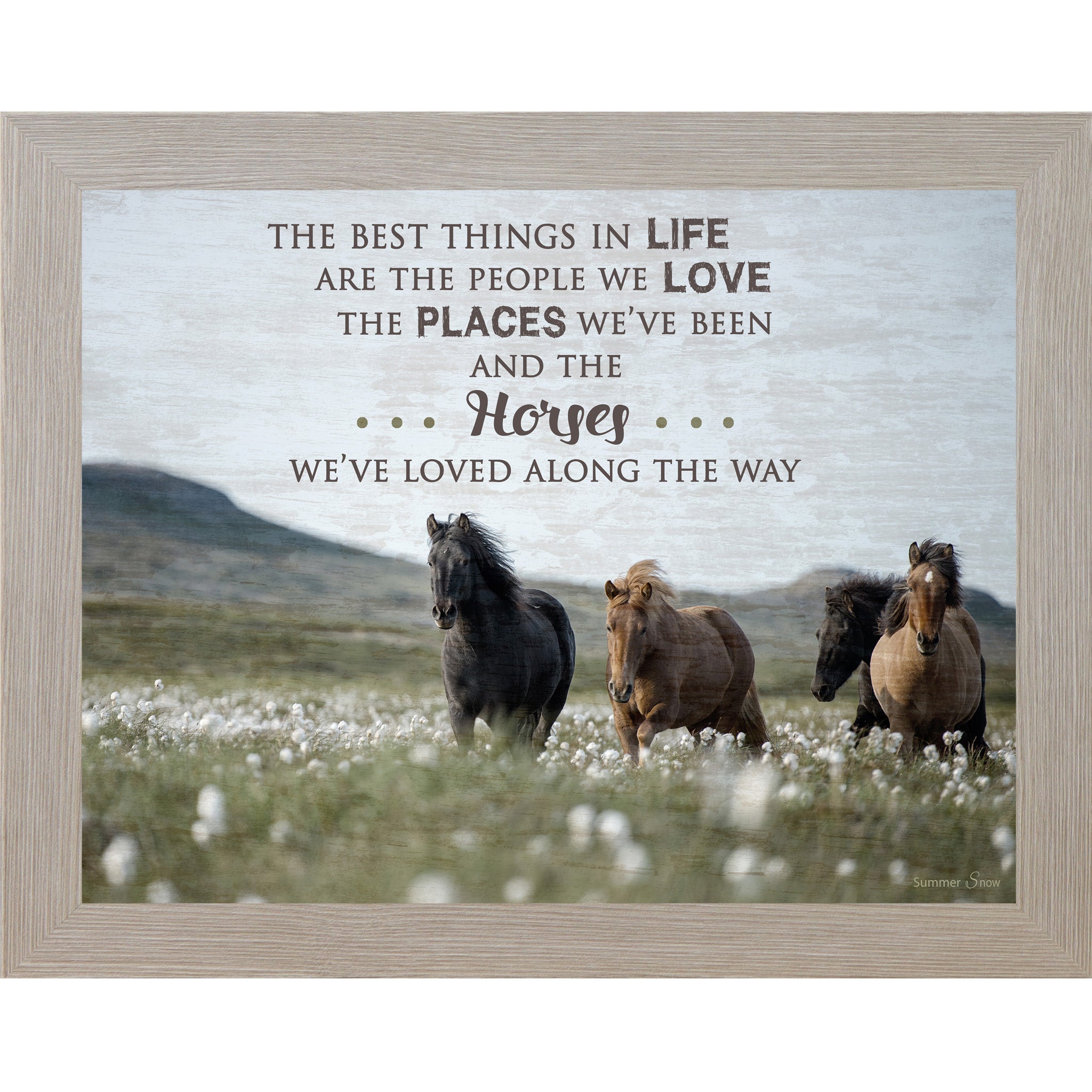Best Things In Life Equine SSW9814