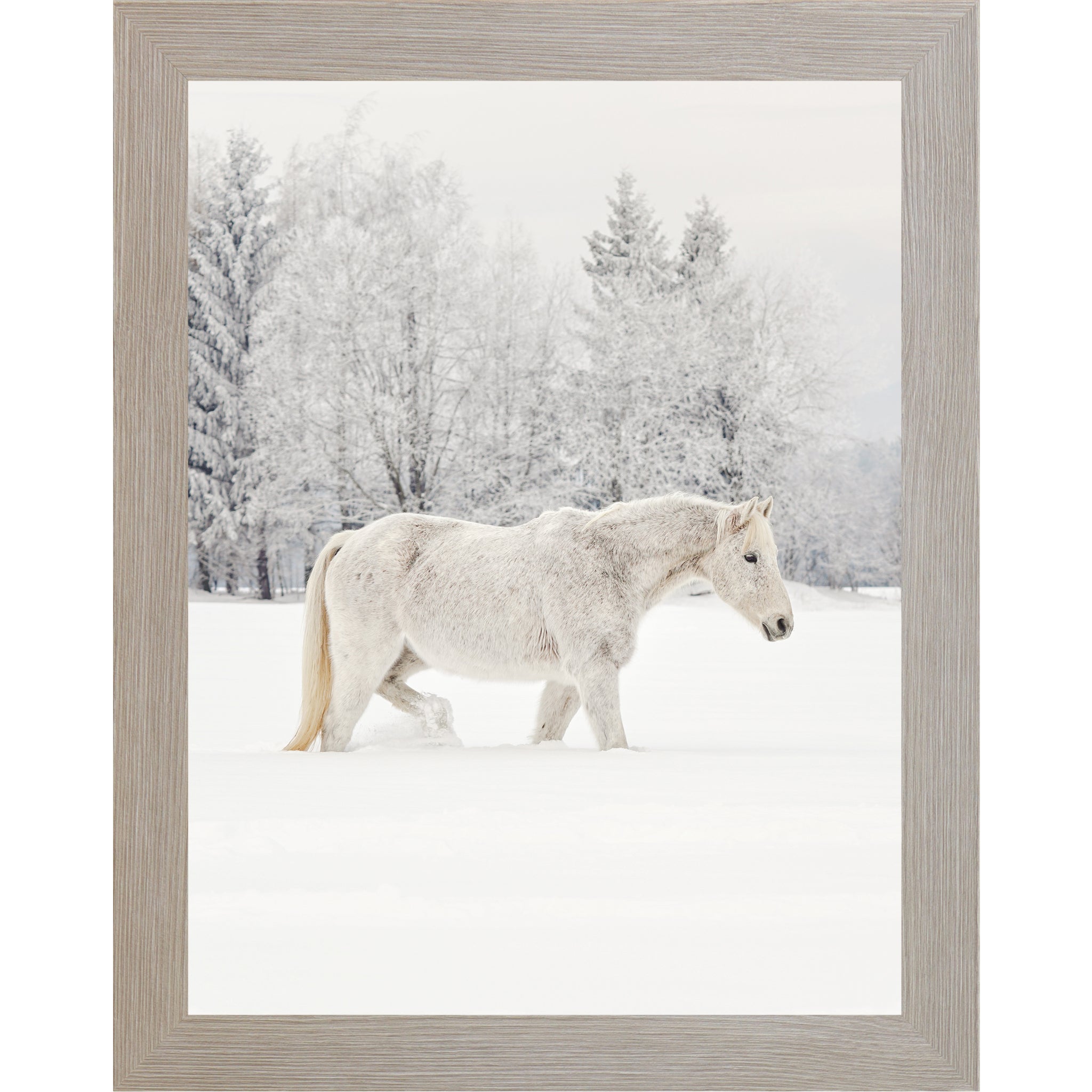 White Horse in Snow Wall Art – Winter Equine Photography | ZS100