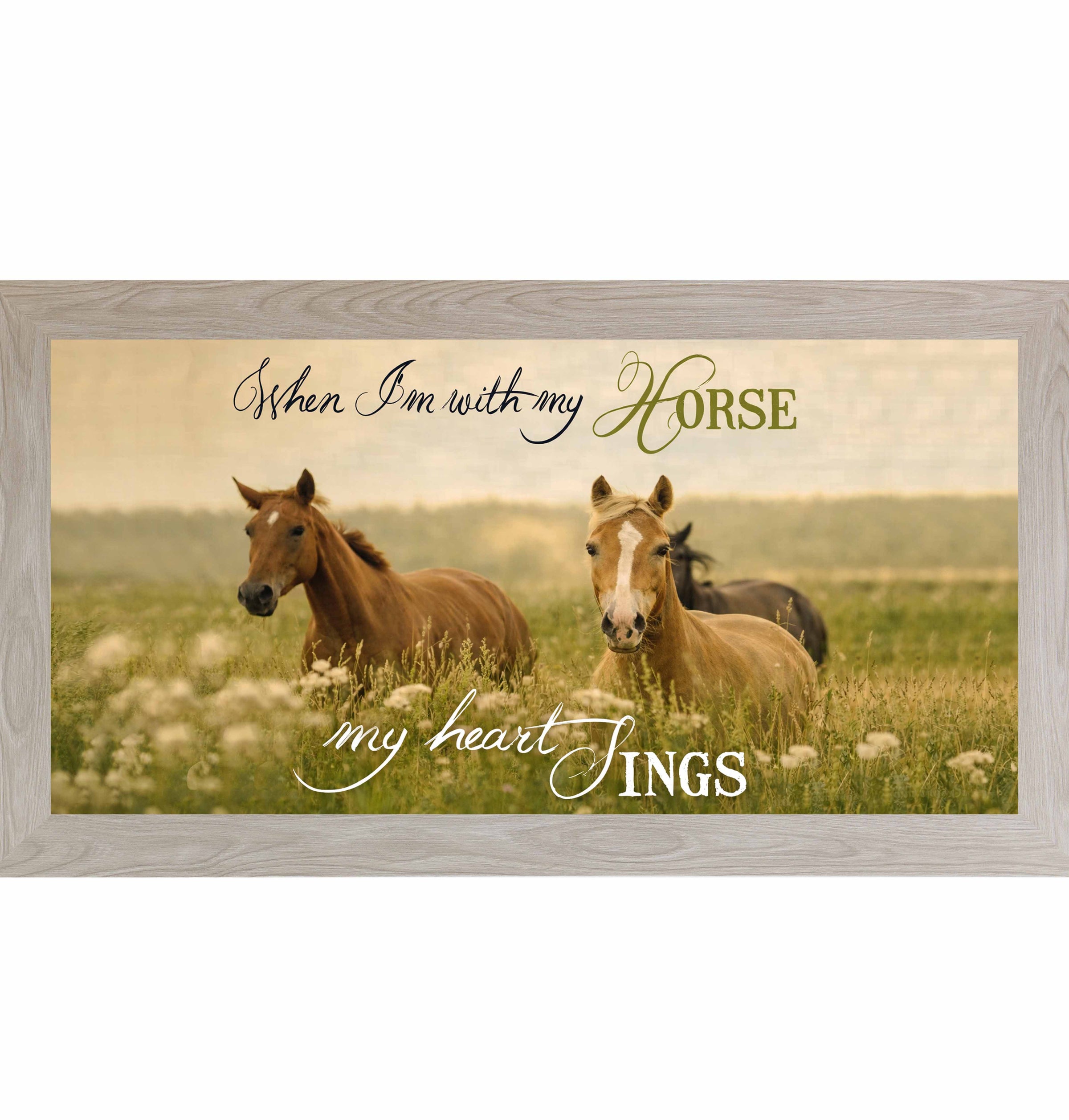 When I’m With My Horse My Heart Sings – Wide Framed Horse Wall Art, Western Equestrian Decor (ZS103)