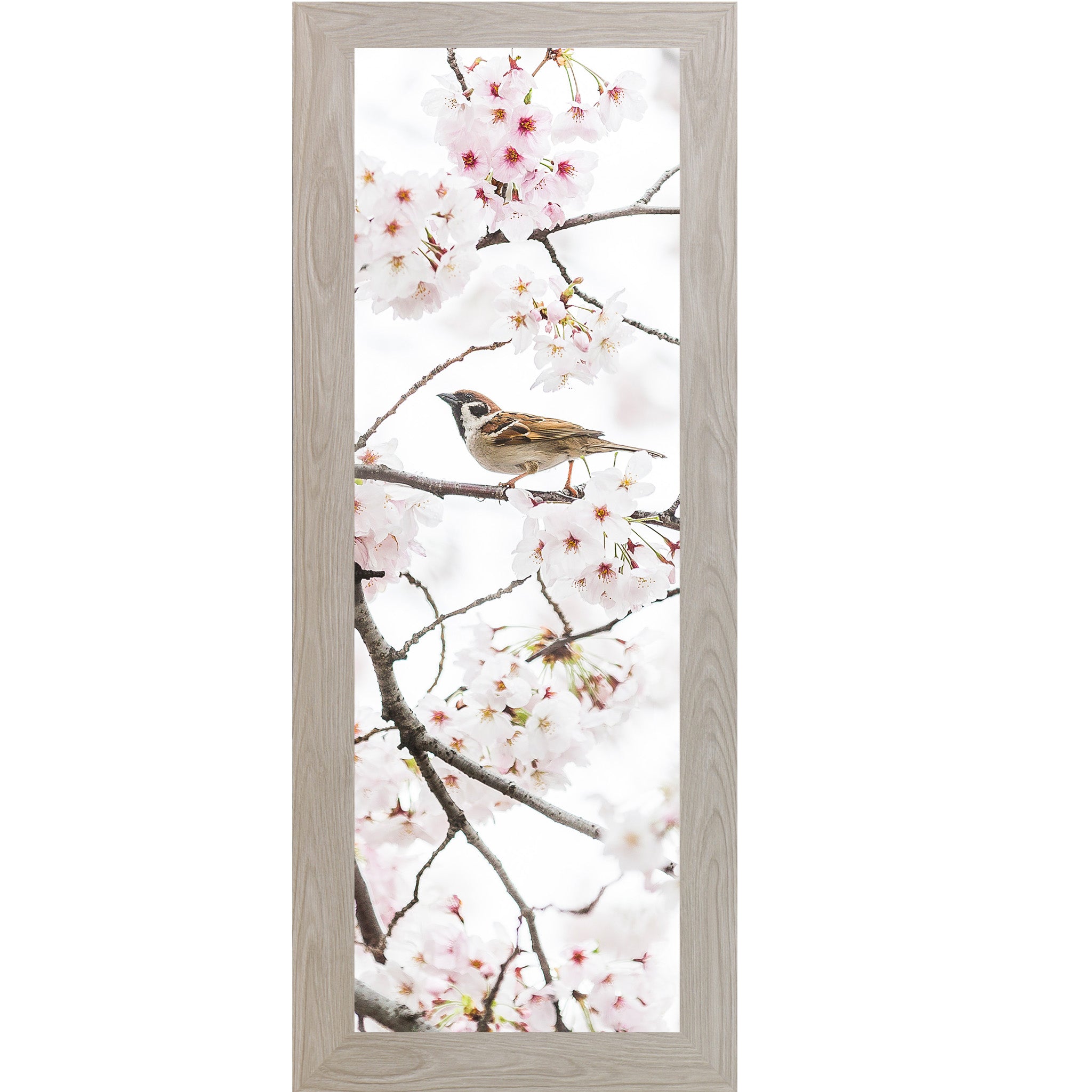 Spring Sparrow in Bloom – Soft Floral Bird Wall Art (SB902) - Summer Snow Art
