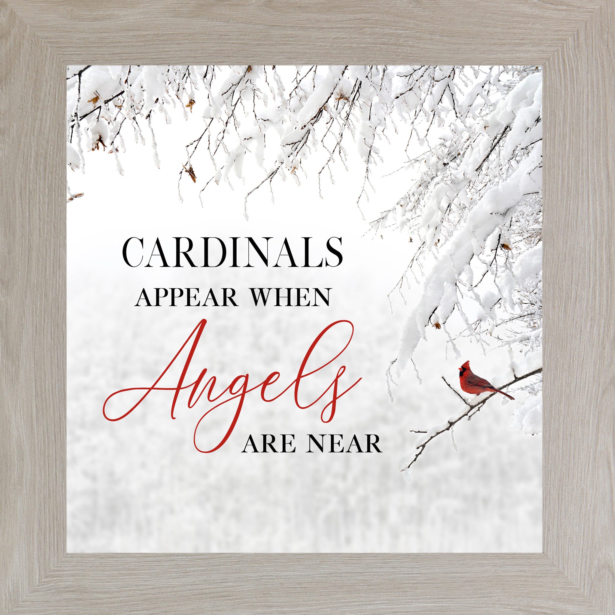 Monte Carlo framed square cardinal sympathy wall art featuring a red cardinal perched on snow-covered winter branches with the words "Cardinals Appear When Angels Are Near" — SS856