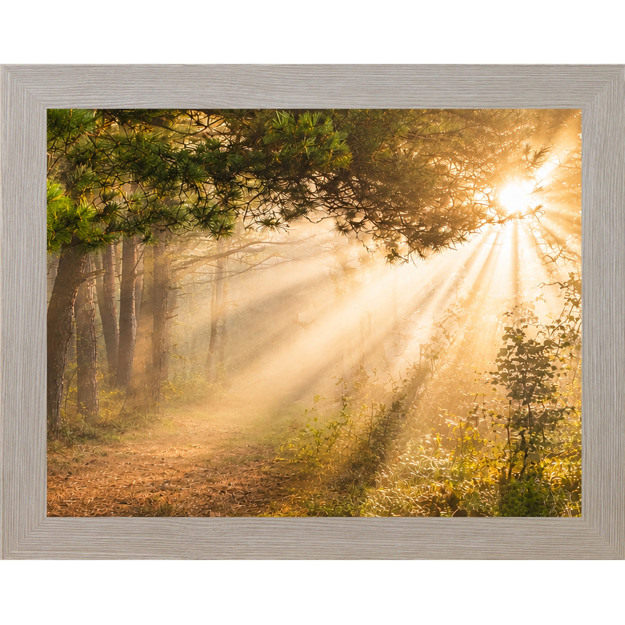 Monte Carlo framed horizontal nature wall art featuring dramatic golden sunlight rays bursting through misty pine tree canopy over a quiet forest path in warm sacred morning light