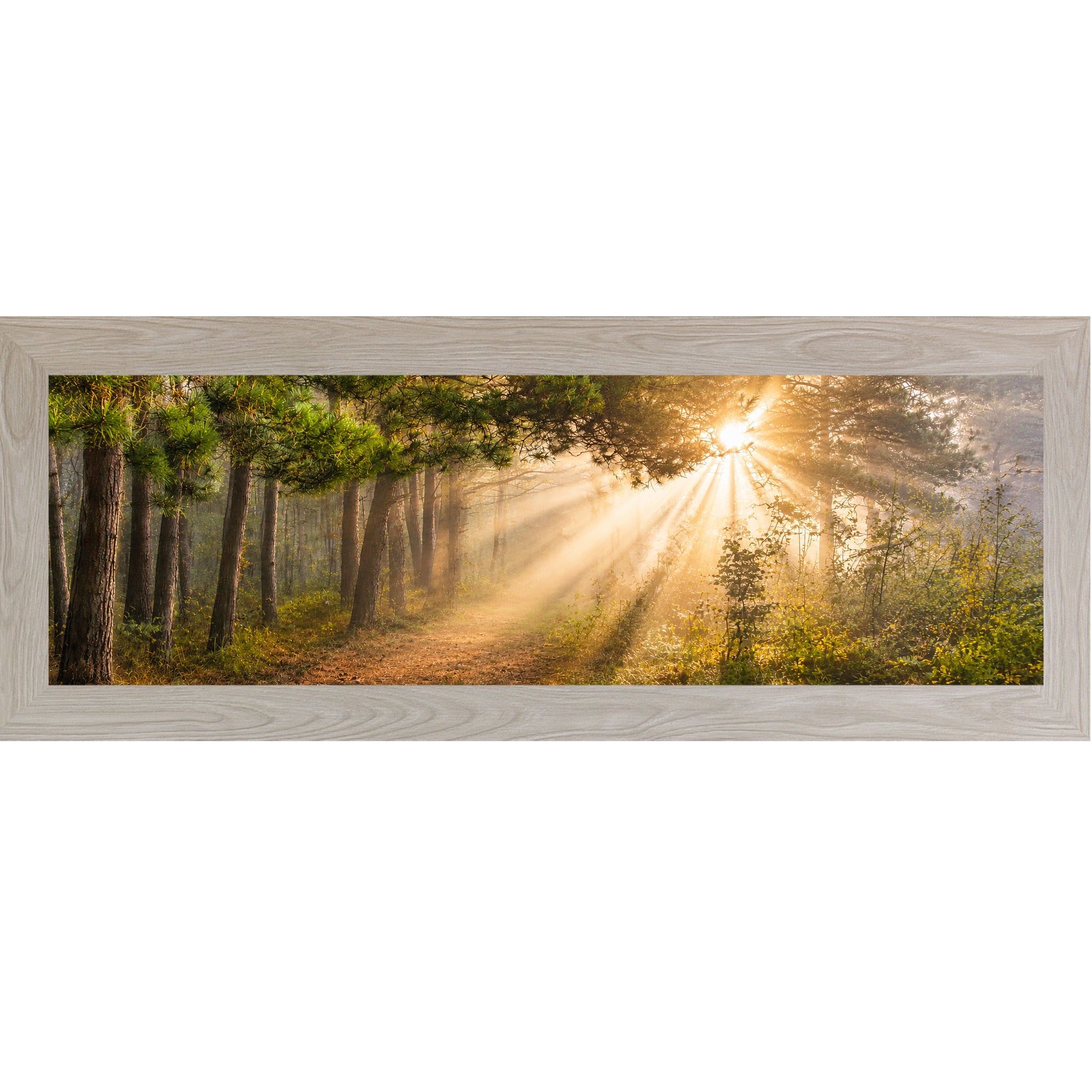 Monte Carlo framed wide panoramic nature wall art featuring dramatic golden sunlight rays bursting through misty pine tree canopy across a forest path in warm sacred morning light