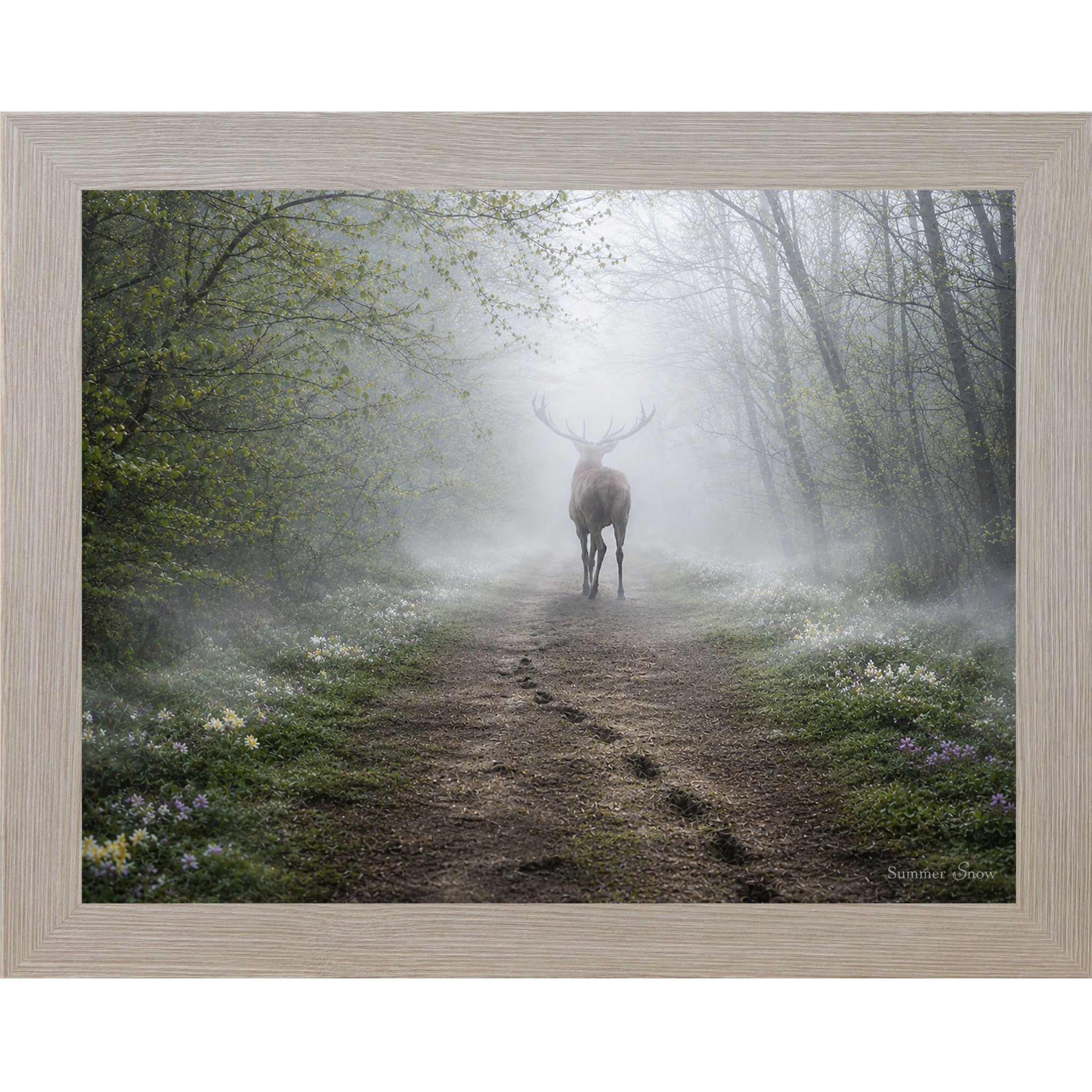Monte Carlo framed horizontal nature wall art featuring a deer silhouette dissolving into heavy morning mist on a spring forest path with wildflowers and hoofprints in the soft earth