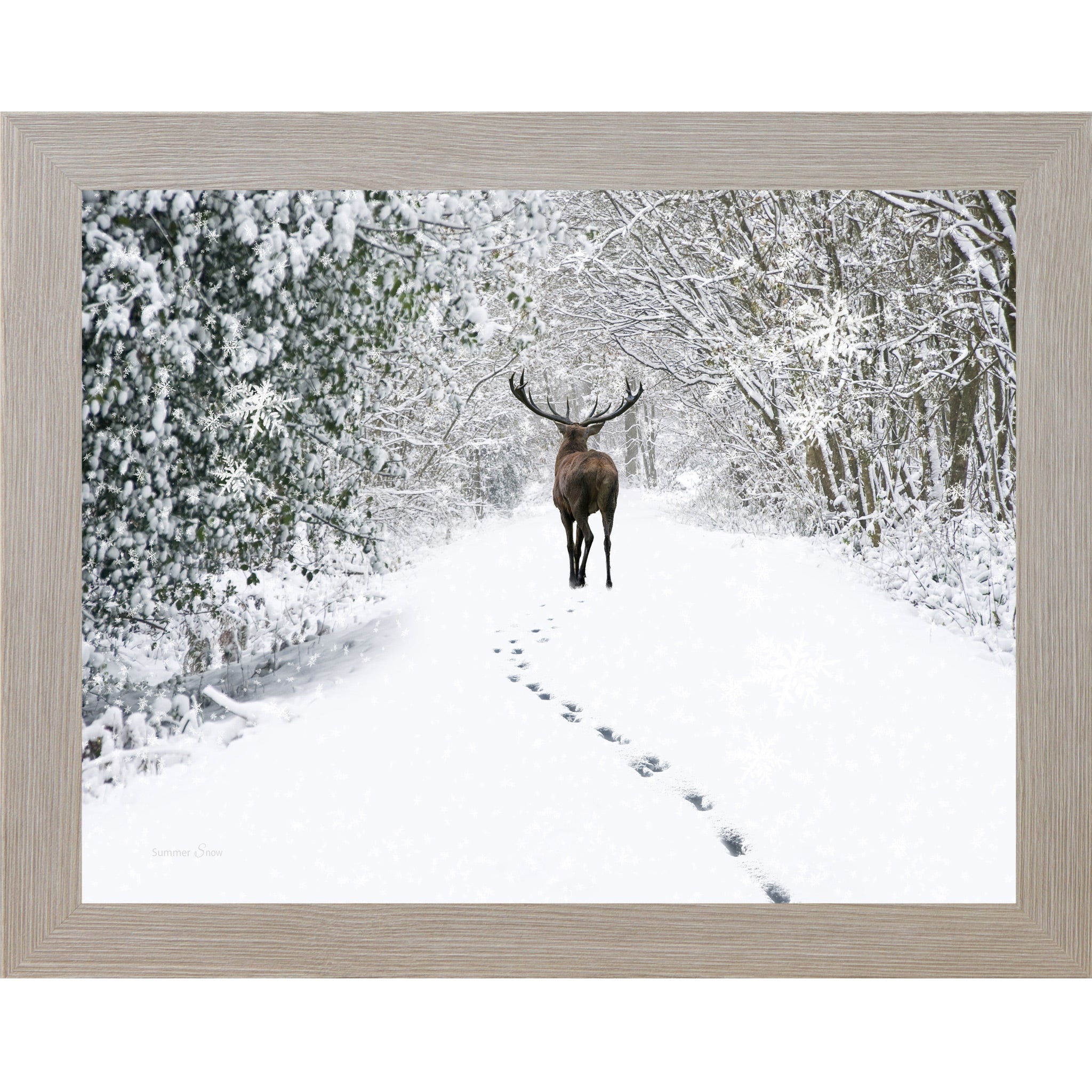 Monte Carlo framed horizontal nature wall art featuring a deer walking away down a snow-covered winter forest path with snow-laden branches and deep hoofprints in white silence