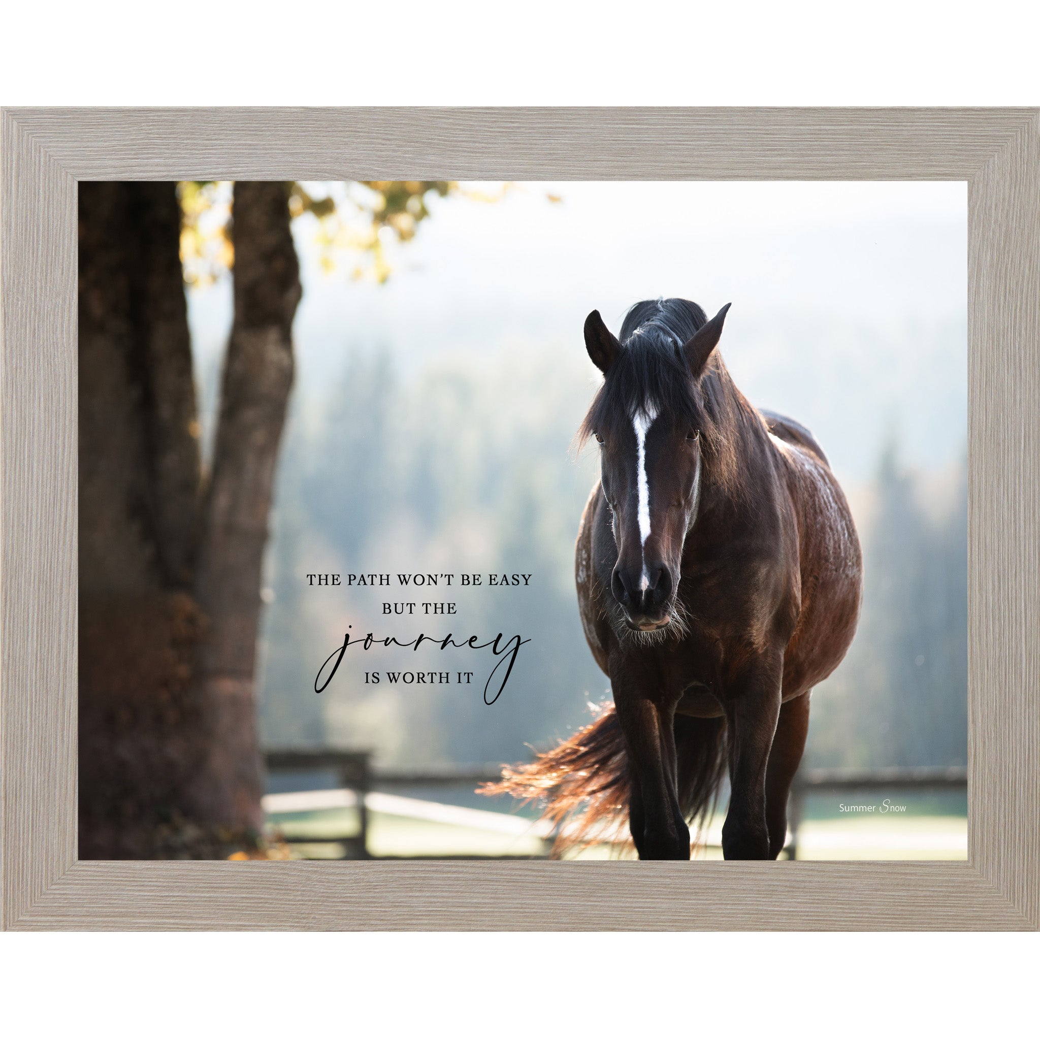 Monte Carlo framed landscape equine wall art with realistic dark bay horse in dappled sunlight with the quote "The Path Won't Be Easy But the Journey Is Worth It"