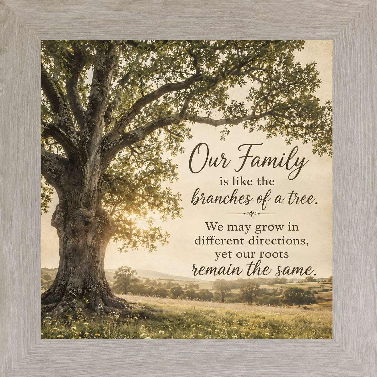 Monte Carlo framed square family quote wall art featuring a majestic oak tree in golden light with the words "Our Family Is Like The Branches Of A Tree"