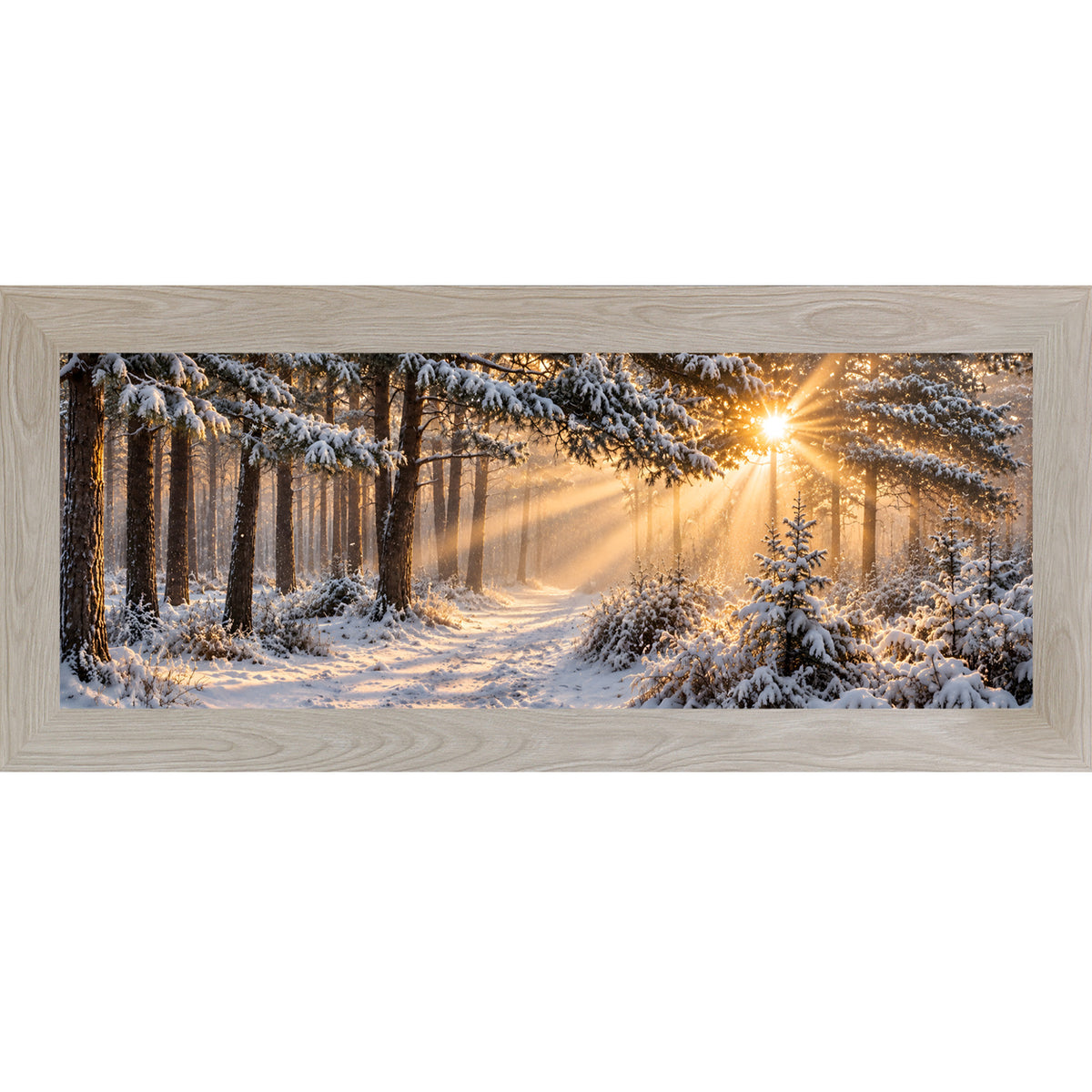 Monte Carlo framed wide panoramic winter wall art featuring sunrise light breaking through a snow-covered pine forest