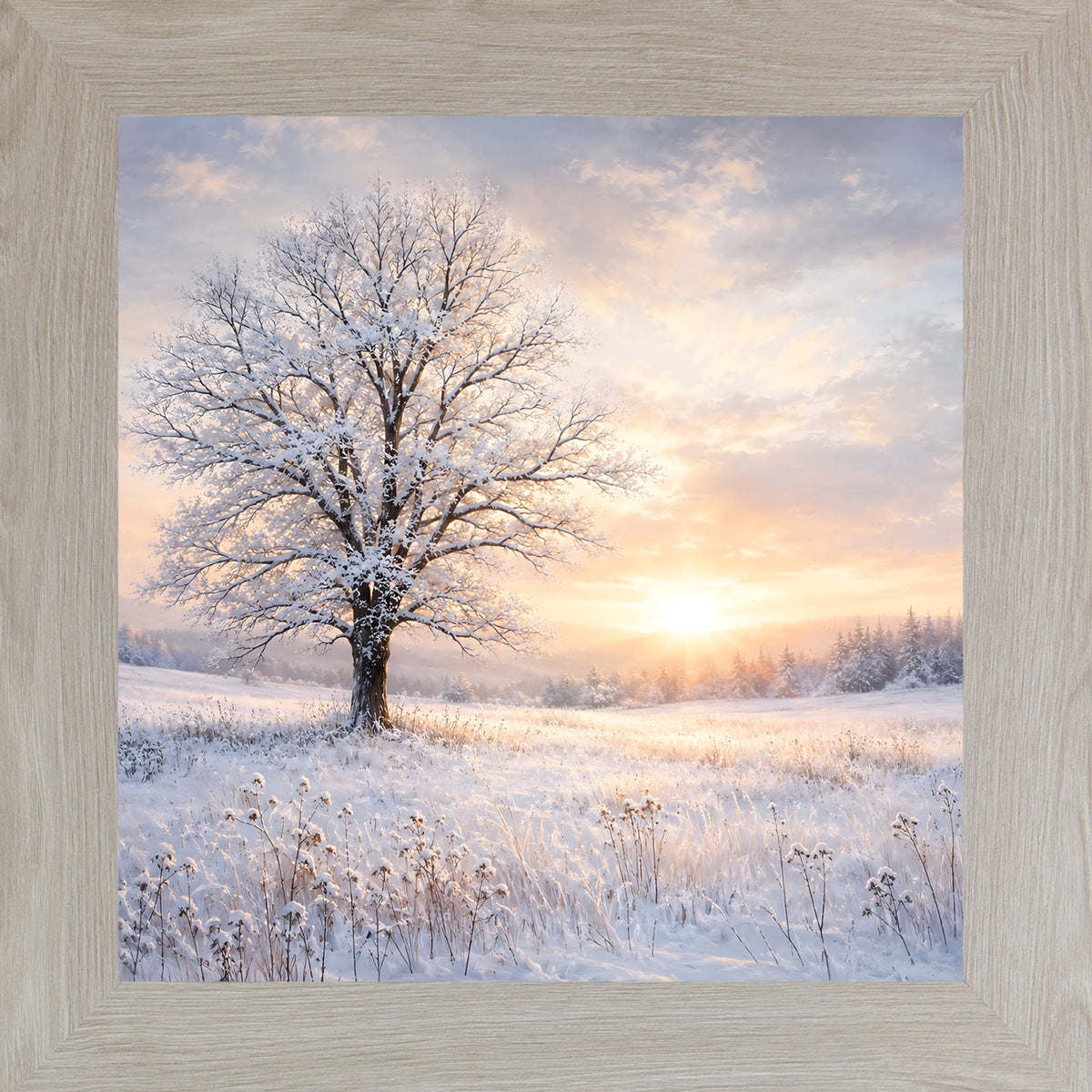 Monte Carlo framed square winter wall art featuring a snow-dusted tree against a glowing sunset over a snowy field