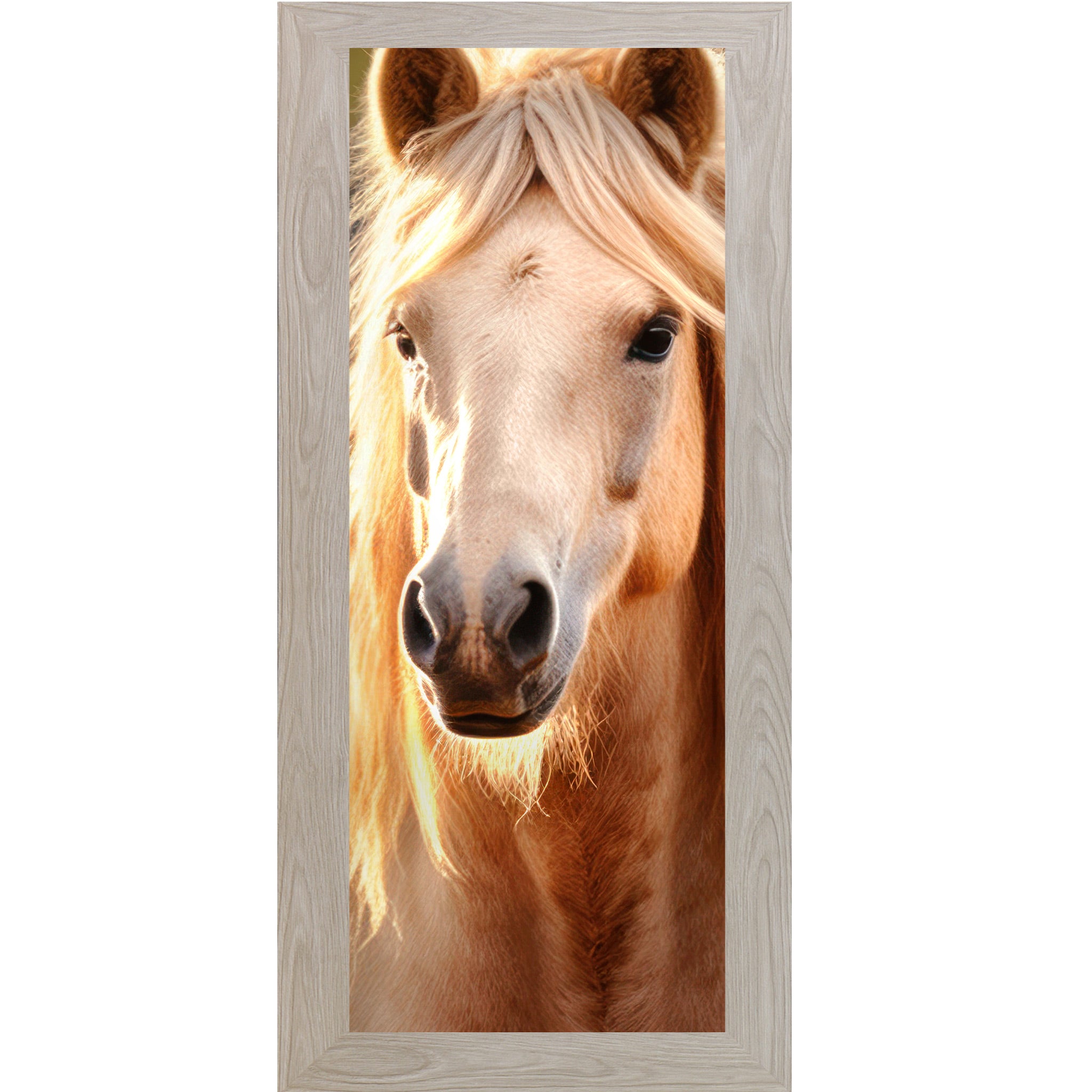 Monte Carlo framed narrow portrait palomino horse wall art featuring a golden mane palomino horse with direct eye contact, warm backlit glow, and cream mane cascading on both sides