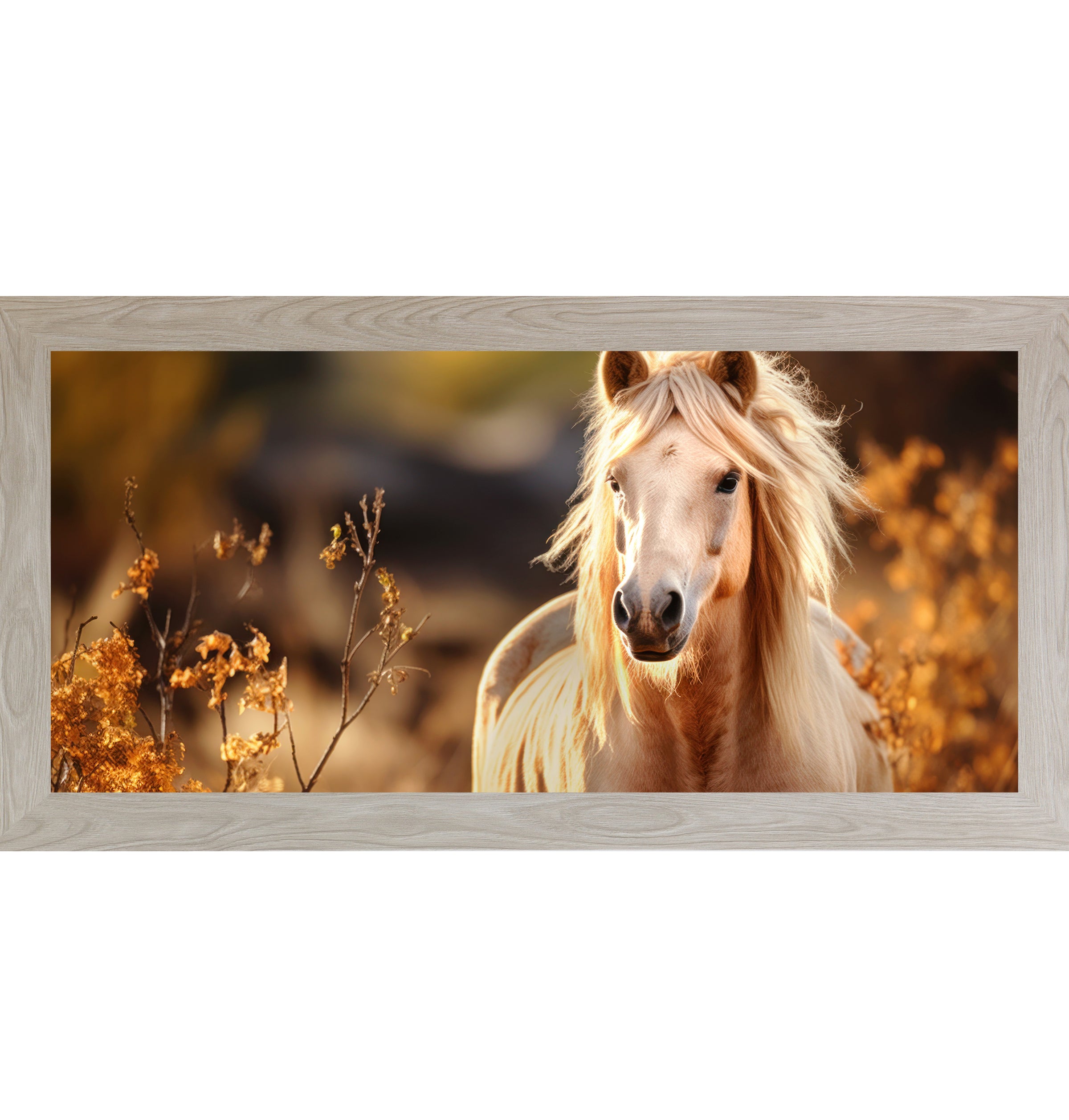 Monte Carlo framed wide landscape palomino horse wall art featuring a glowing golden palomino with flowing mane surrounded by warm amber autumn foliage against a dark bokeh background