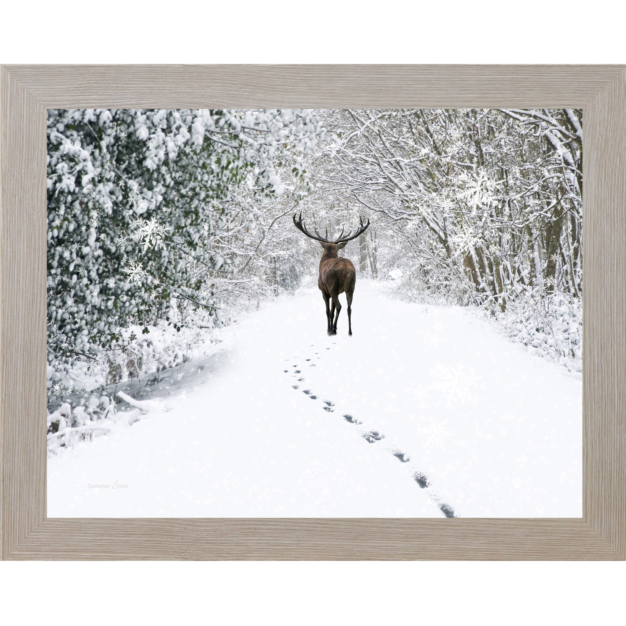 Monte Carlo framed landscape winter wall art featuring a lone stag walking through snow-covered woods with a trail of tracks behind him