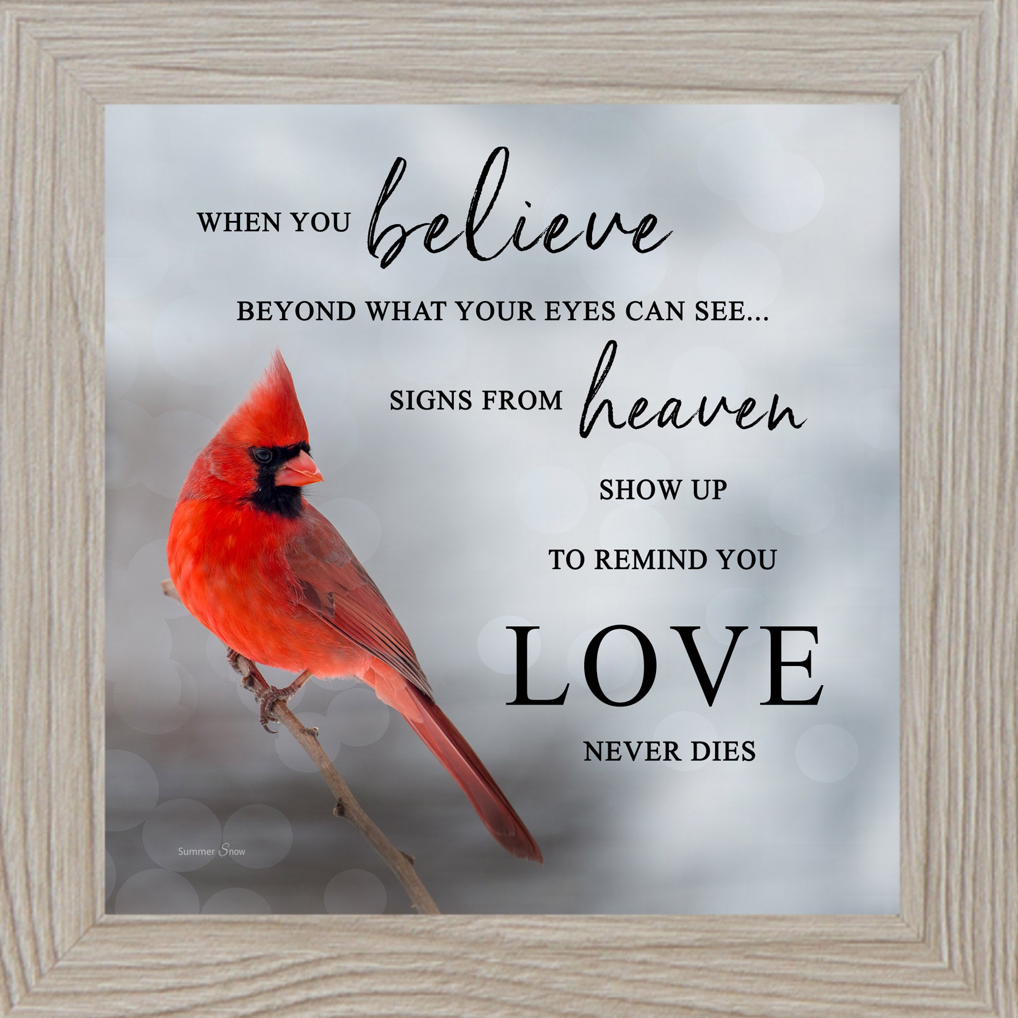 Monte Carlo framed square cardinal sympathy wall art featuring a photorealistic red cardinal in silver gray mist with the words "When You Believe Beyond What Your Eyes Can See Signs From Heaven Show Up to Remind You Love Never Dies" — SA26