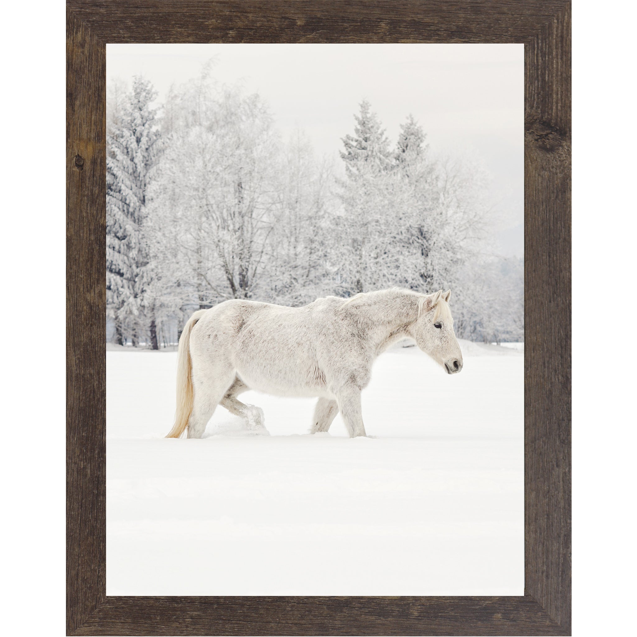 White Horse in Snow Wall Art – Winter Equine Photography | ZS100