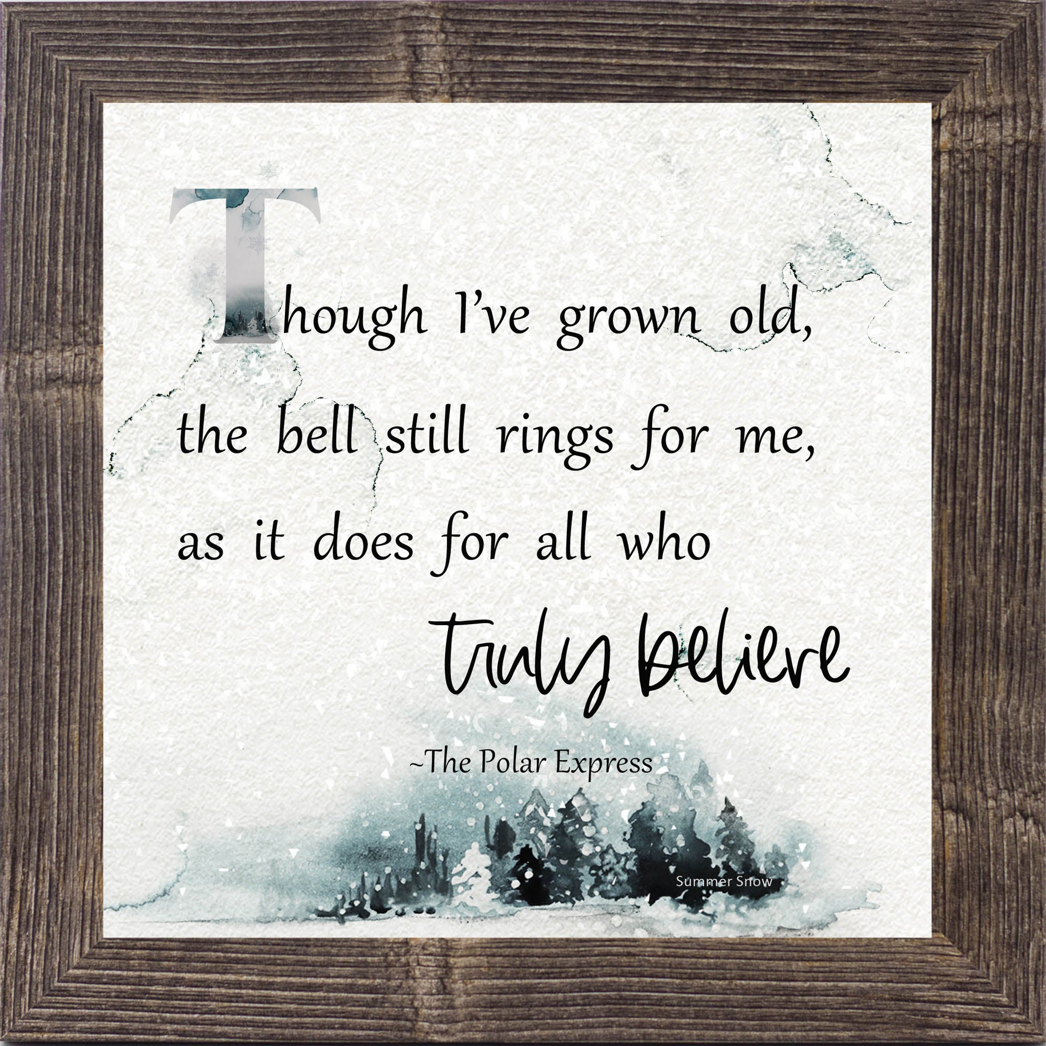 Truly Believe – Polar Express Quote Framed Wall Art | Winter Christmas Decor | SS882 - Summer Snow Art