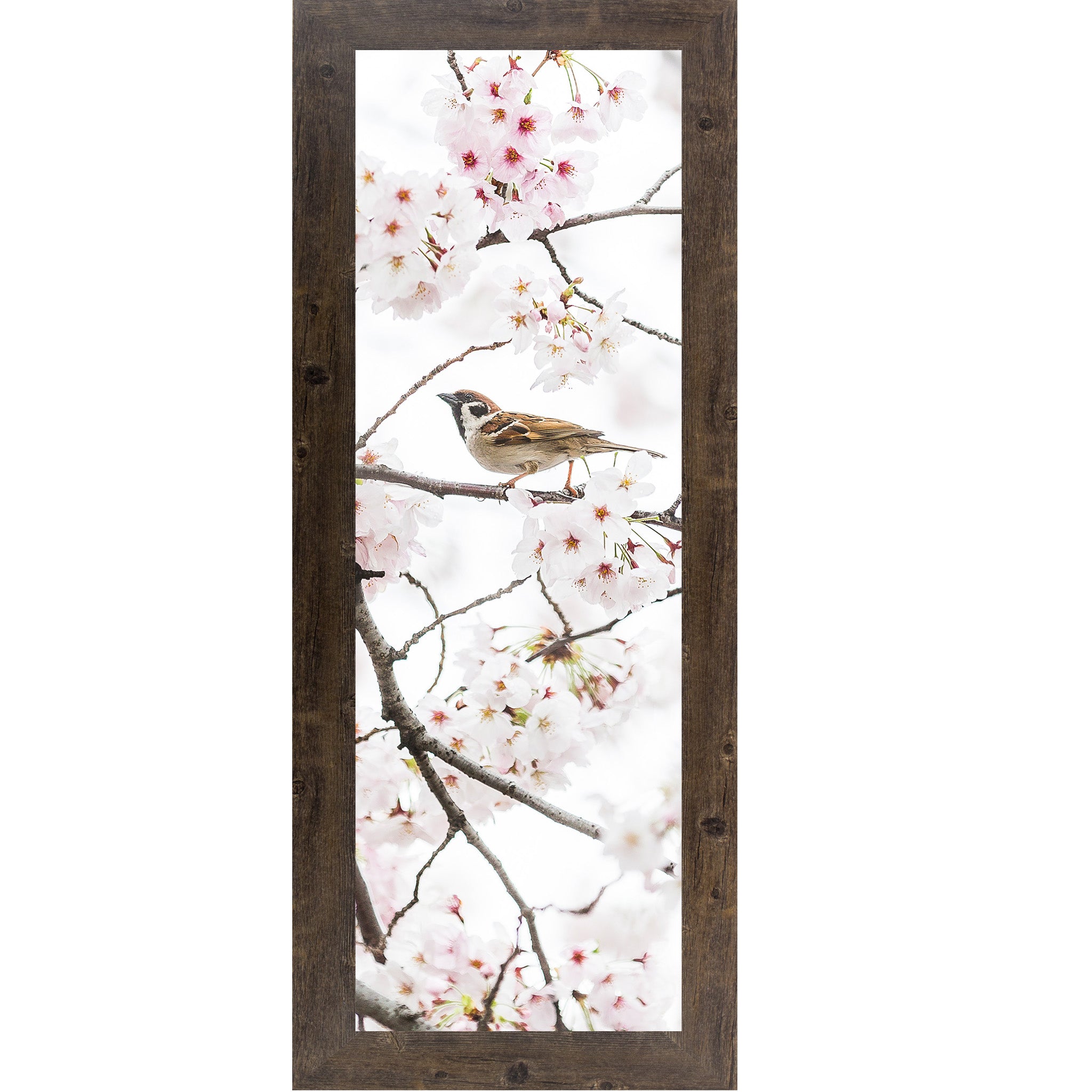 Spring Sparrow in Bloom – Soft Floral Bird Wall Art (SB902) - Summer Snow Art