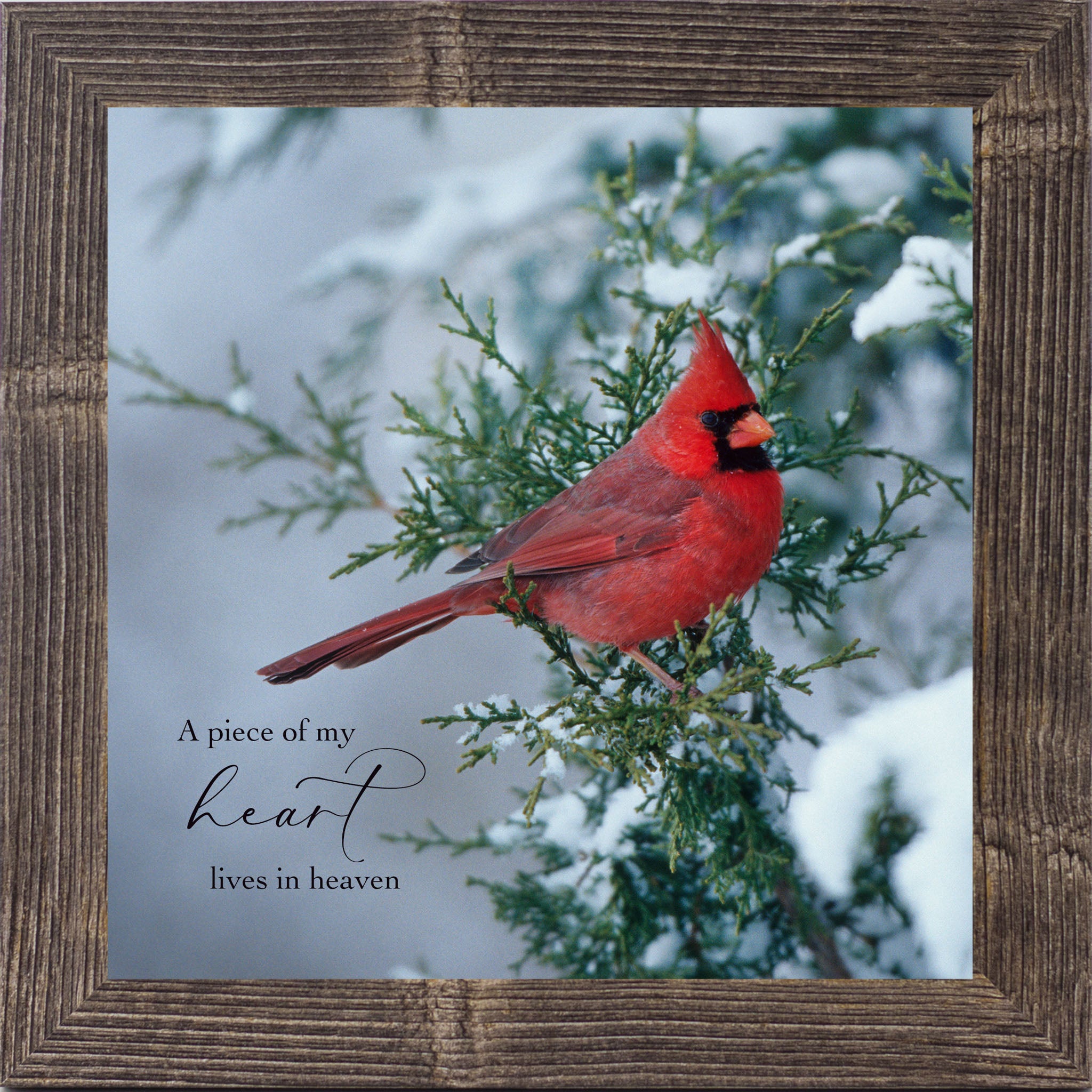 A Piece of My Heart Lives in Heaven – Cardinal Sympathy Framed Wall Art | Winter Remembrance Decor (SA127)