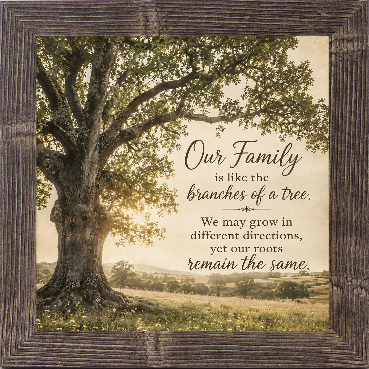 Natural brown framed square family quote wall art featuring a majestic oak tree in golden light with the words "Our Family Is Like The Branches Of A Tree"