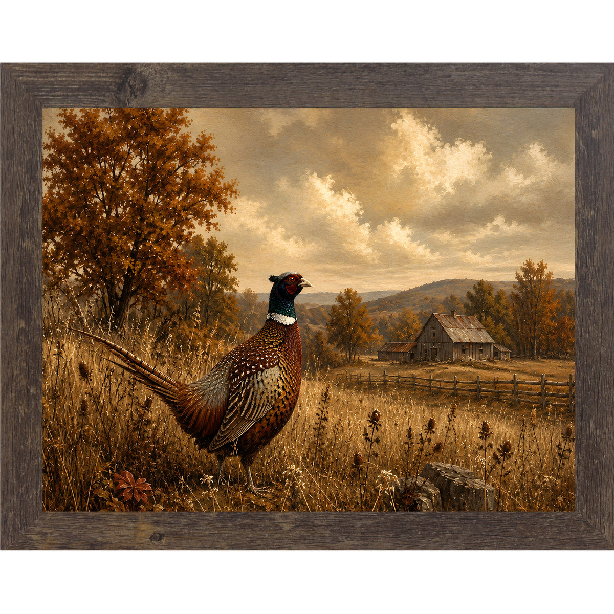 Natural brown framed landscape vintage sporting wall art featuring a ring-necked pheasant standing in a golden autumn field with a barn in the distance