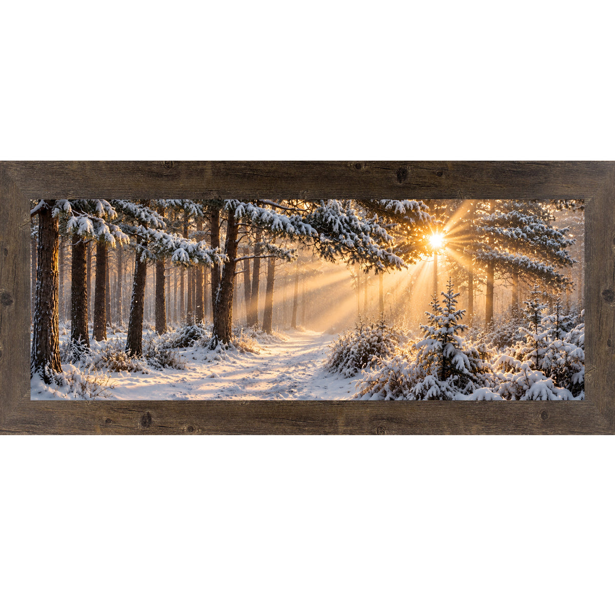 Natural brown framed wide panoramic winter wall art featuring sunrise light breaking through a snow-covered pine forest