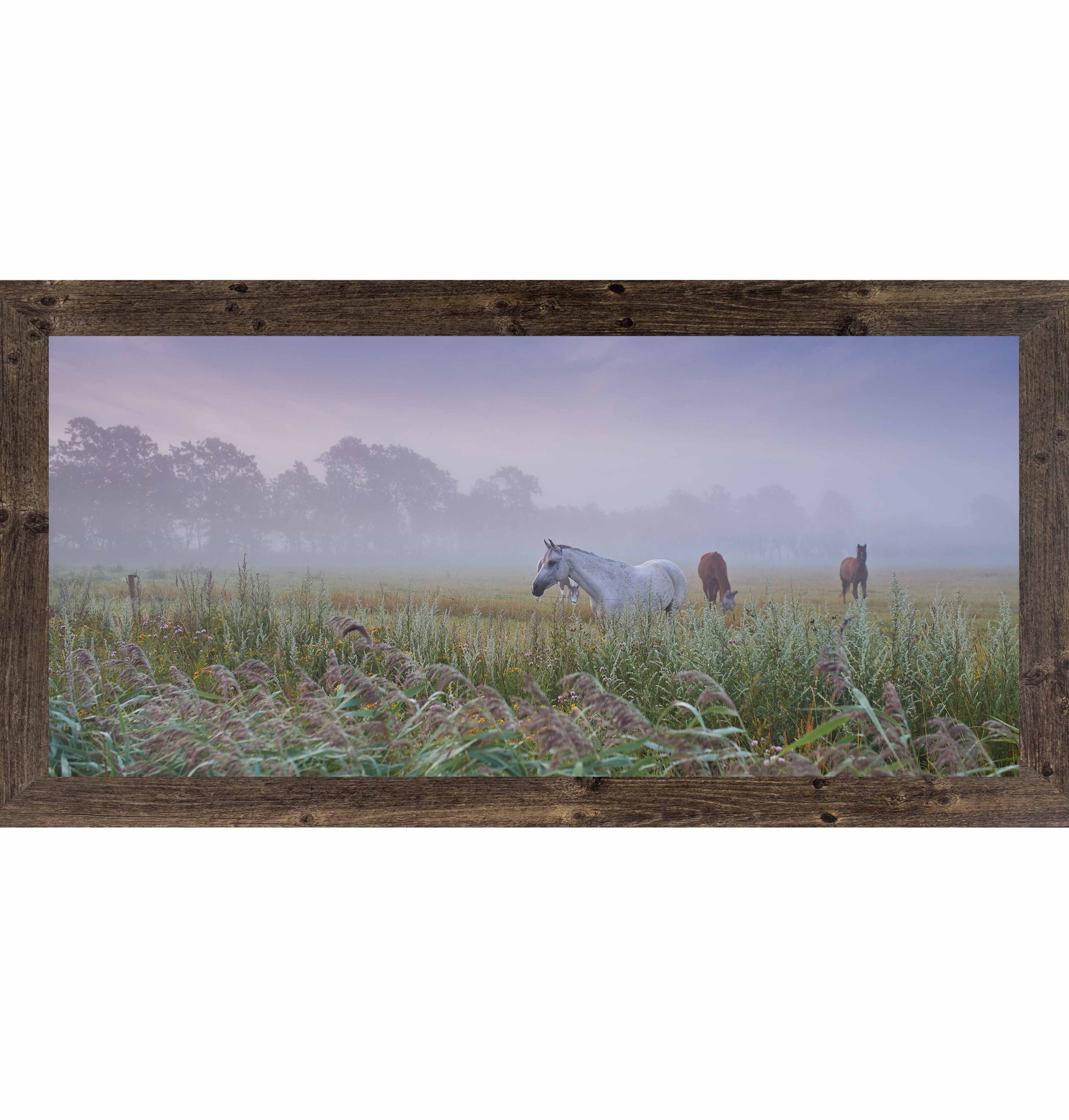 Misty Field With Horses – Panoramic Meadow Wall Art (SB742) - Summer Snow Art