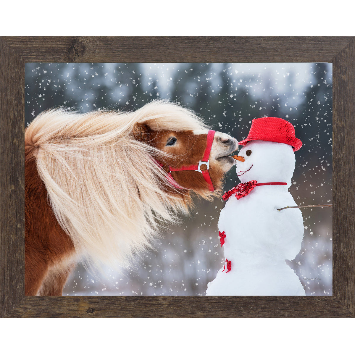 Natural Brown framed landscape equine wall art featuring a chestnut Haflinger pony with flowing blonde mane stealing a carrot from a red-hatted snowman in falling snow — Can't Resist SN338