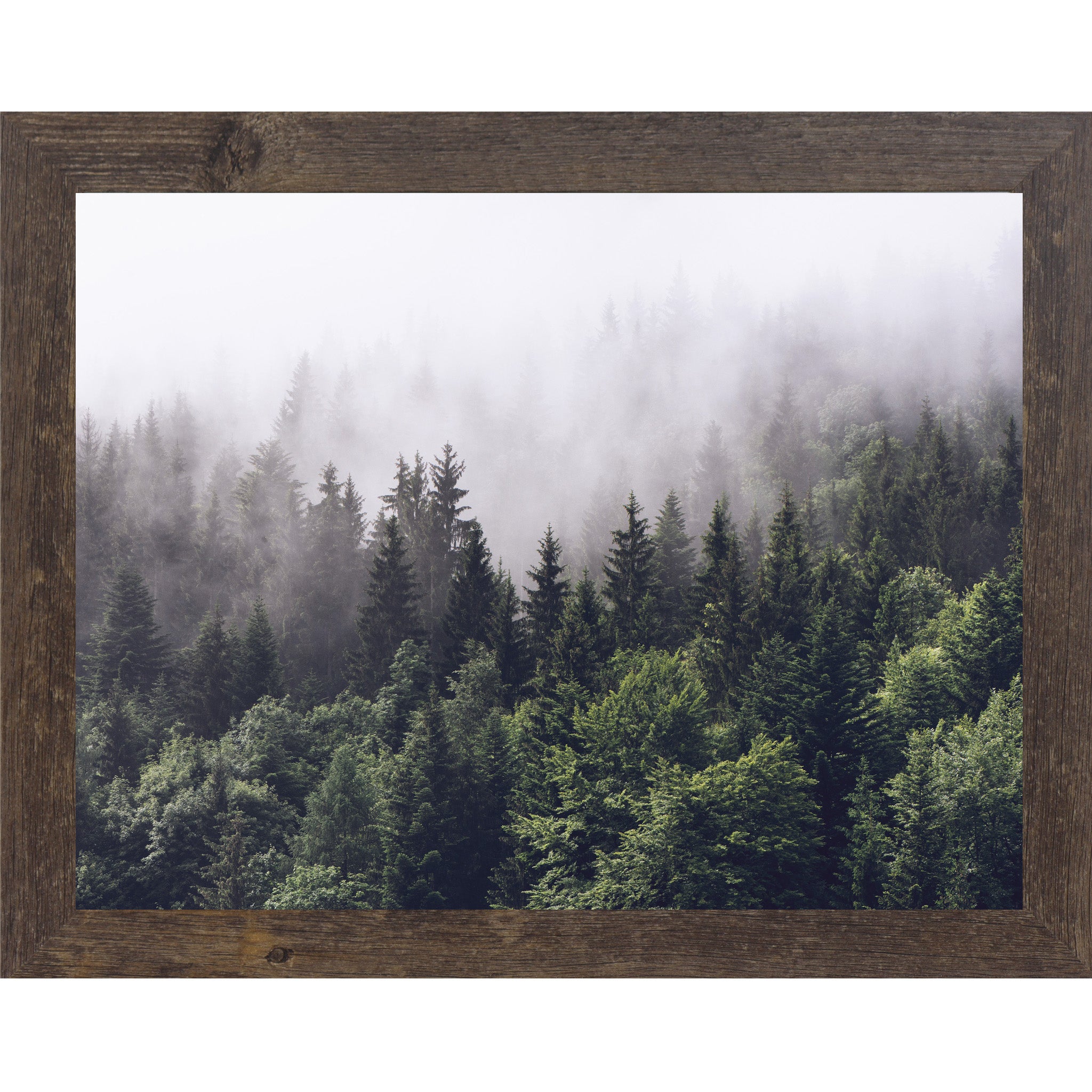 Natural Brown framed horizontal nature wall art featuring a dense evergreen pine forest disappearing into rolling mountain fog with deep green canopies fading to pale misty silhouettes