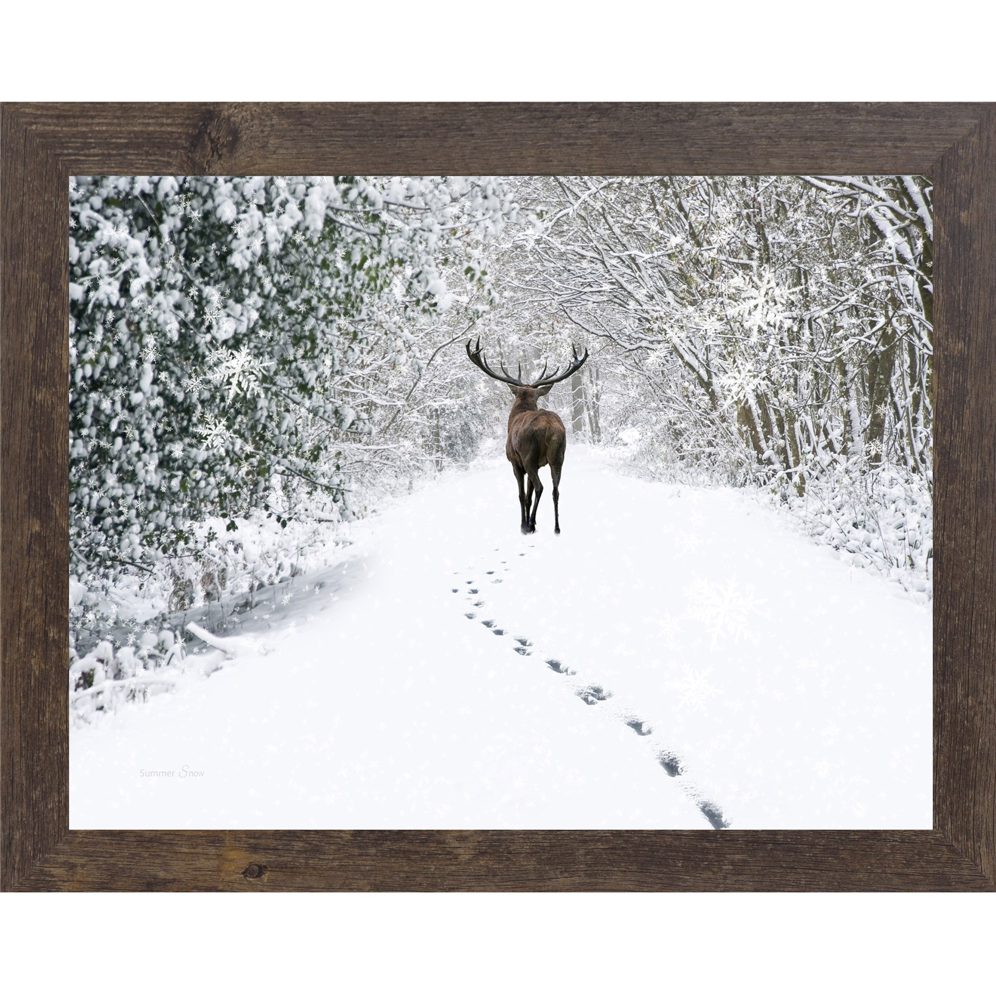Natural brown framed landscape winter wall art featuring a lone stag walking through snow-covered woods with a trail of tracks behind him