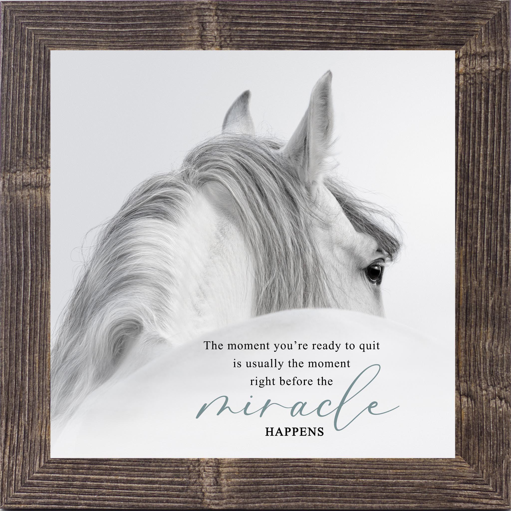Natural brown framed square white horse inspirational wall art with the quote "The Moment You're Ready to Quit Is Usually the Moment Right Before the Miracle Happens"