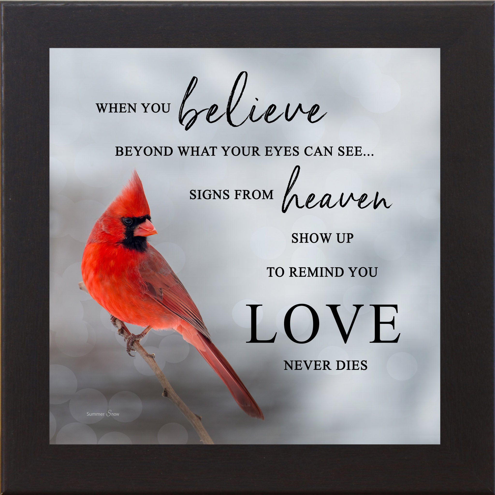 When You Believe – Cardinal Sympathy Framed Wall Art | Faith & Remembrance Decor (SA26)
