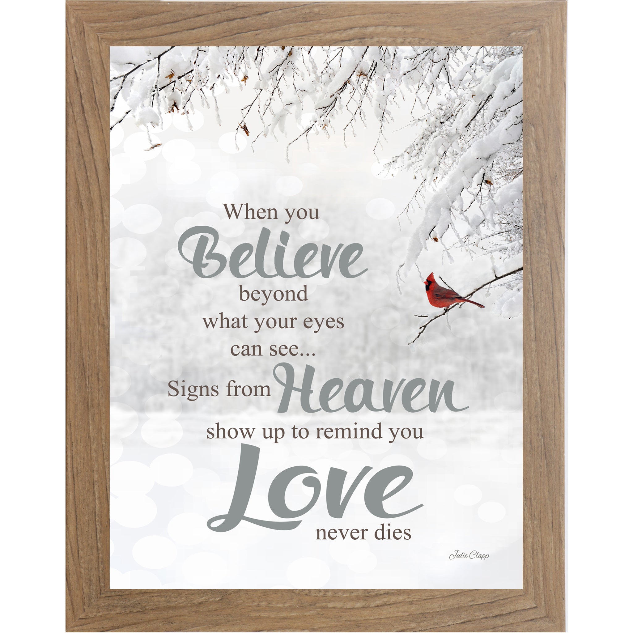 When You Believe – Inspirational Cardinal Framed Wall Art | Faith & Encouragement Decor (SSA14)