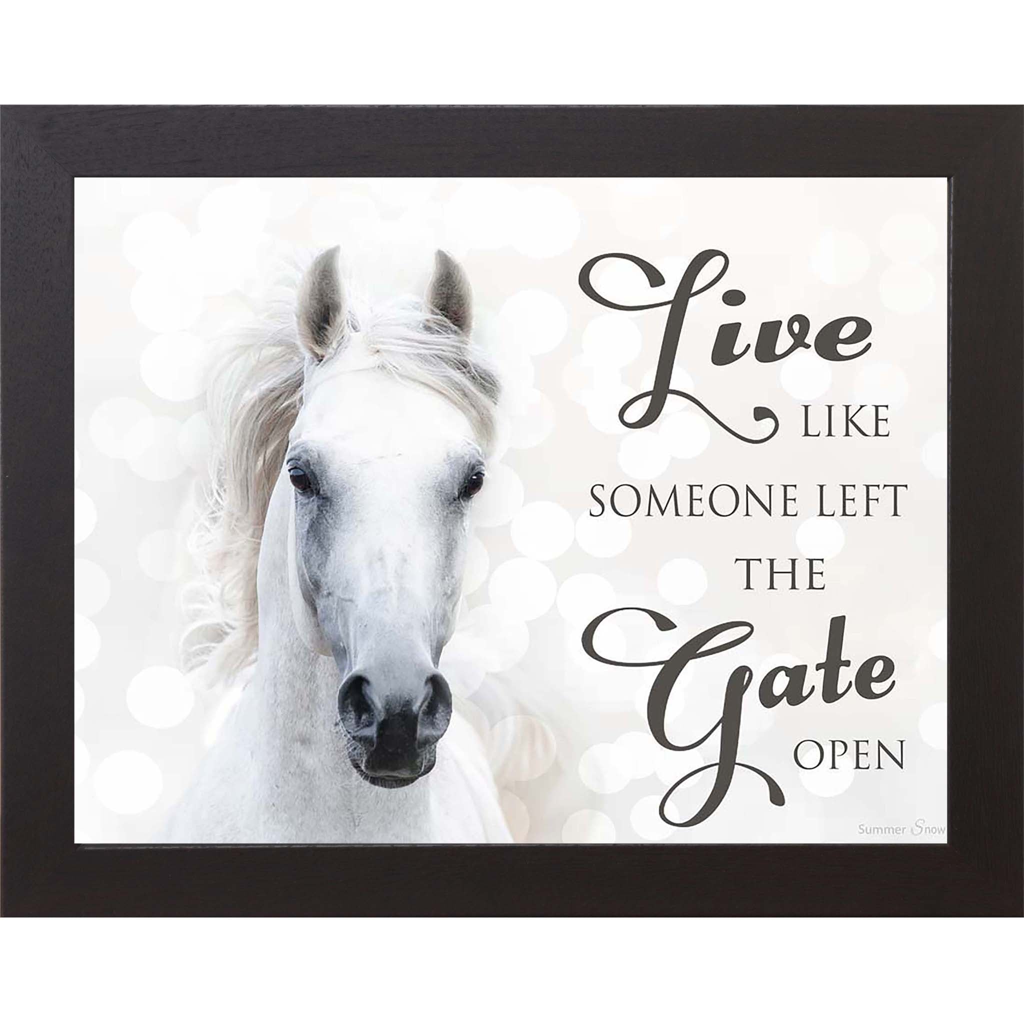Live Like Someone Left the Gate Open – White Horse Inspirational Framed Wall Art (SSW9819)